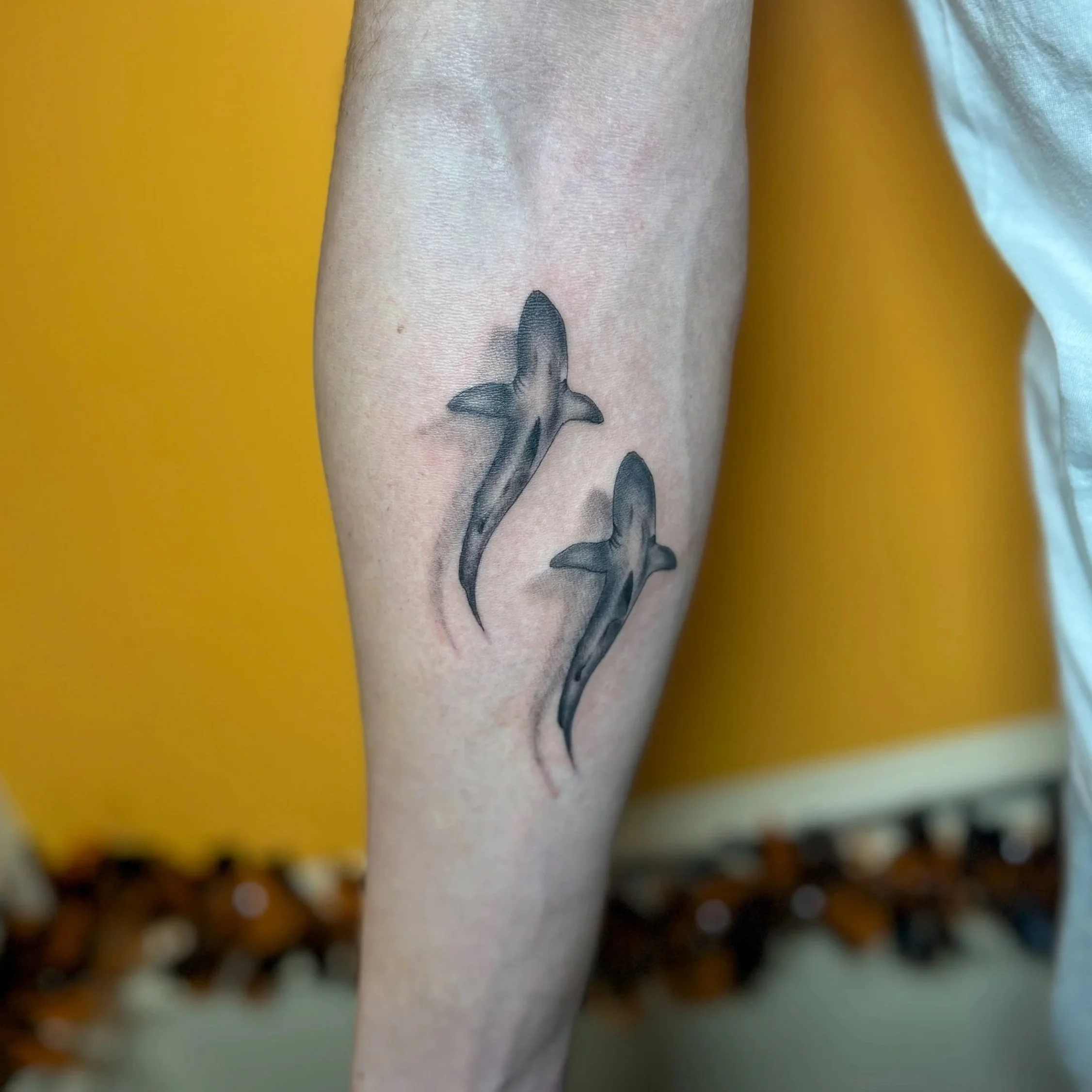 Tattoo of two sharks swimming upward on a person's forearm, depicted in black and gray shading.