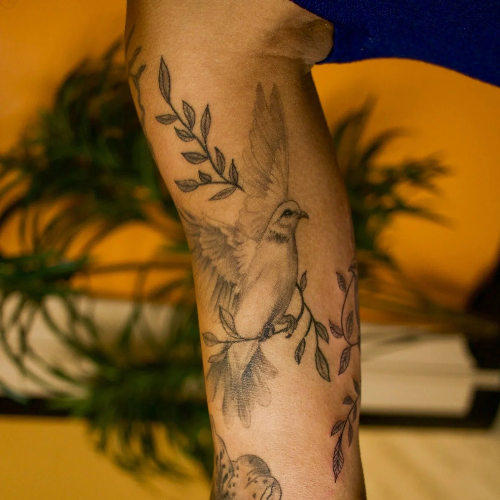 Tattoo of a bird on the forearm, with branches and leaves, in black and gray ink.