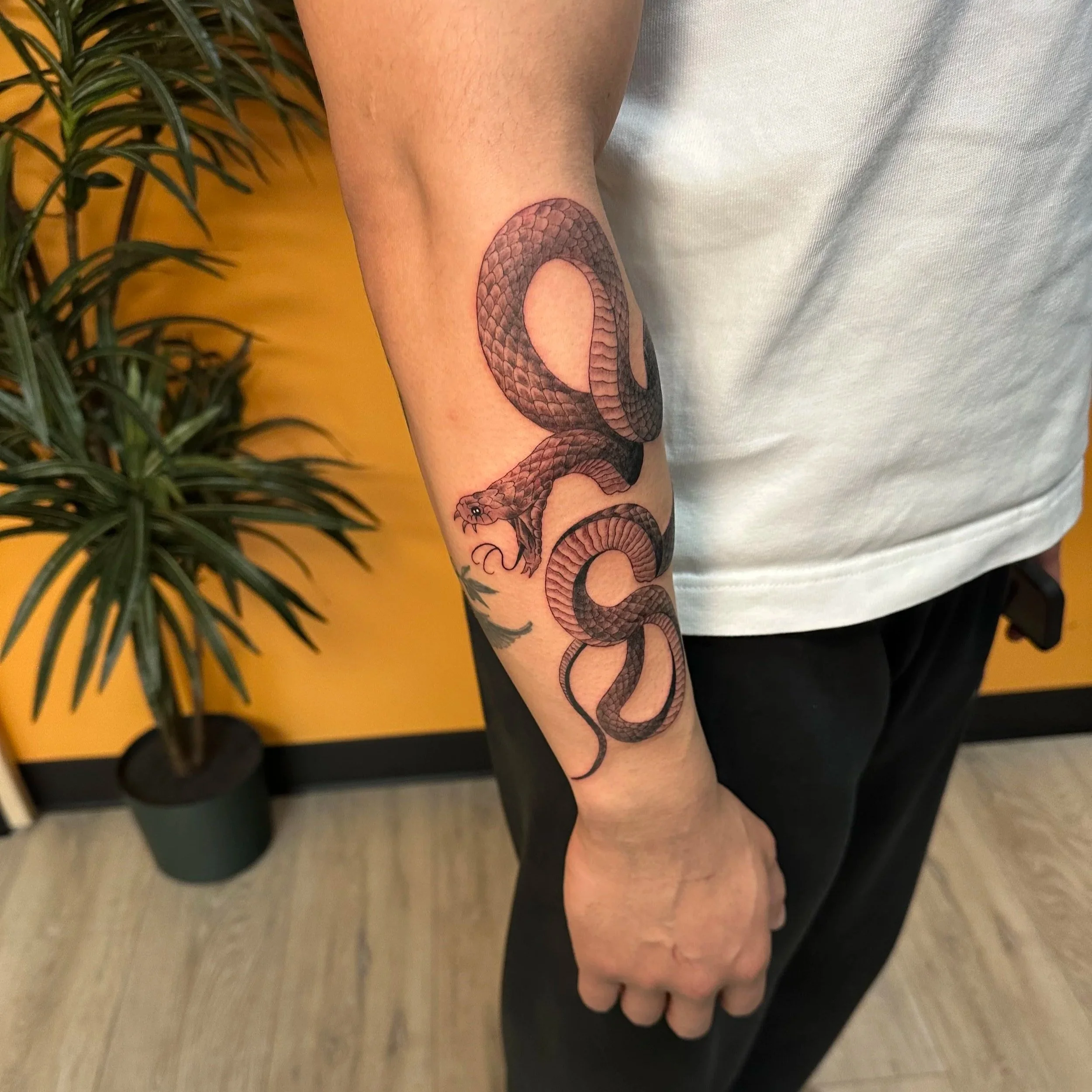 Tattoo of a coiled snake on a person's forearm, with detailed scales and an open mouth showing fangs.