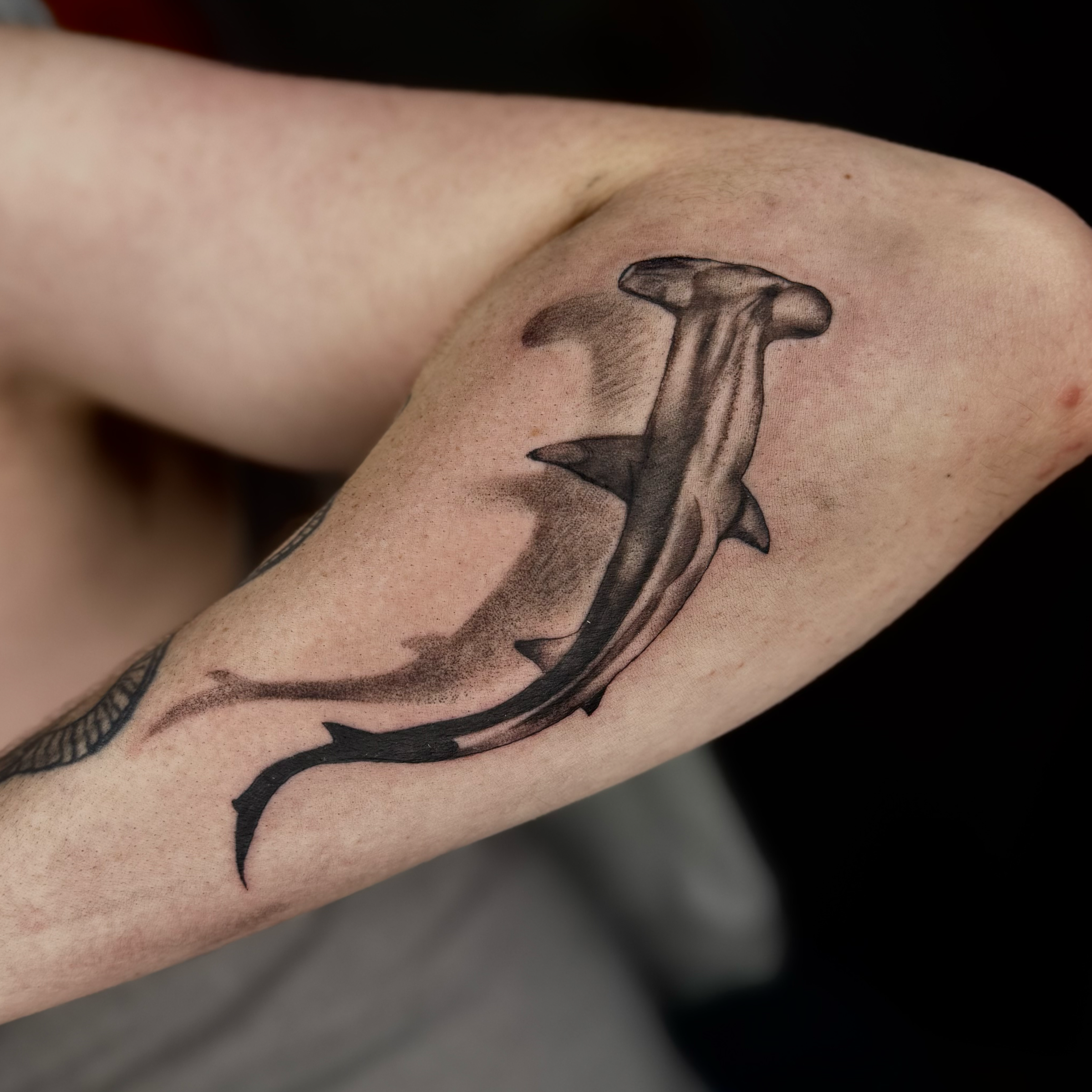 Tattoo of a hammerhead shark on a person's arm.