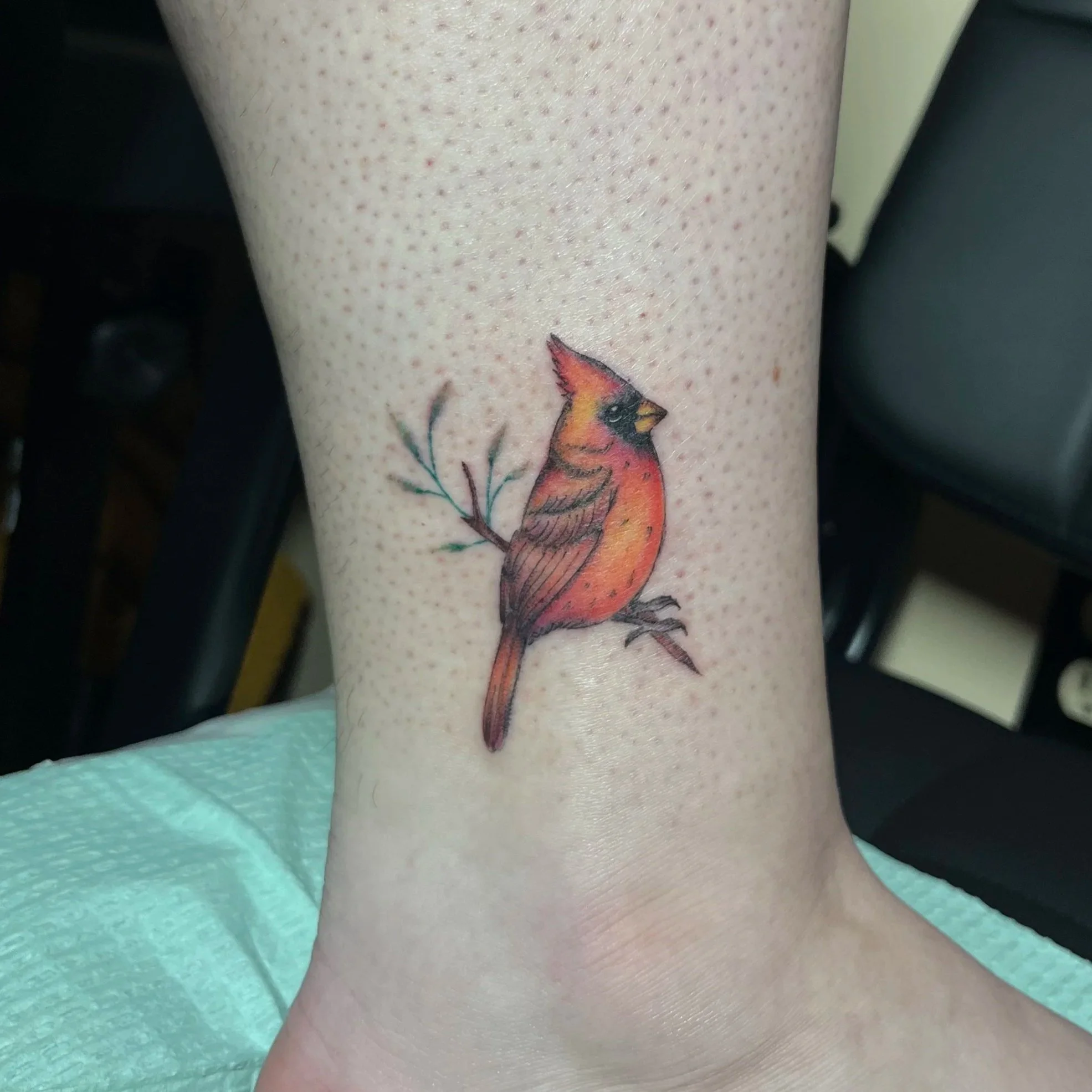 Close-up of a person's leg with a colorful tattoo of a bird perched on a branch, with a greenish-blue textured surface in the background.