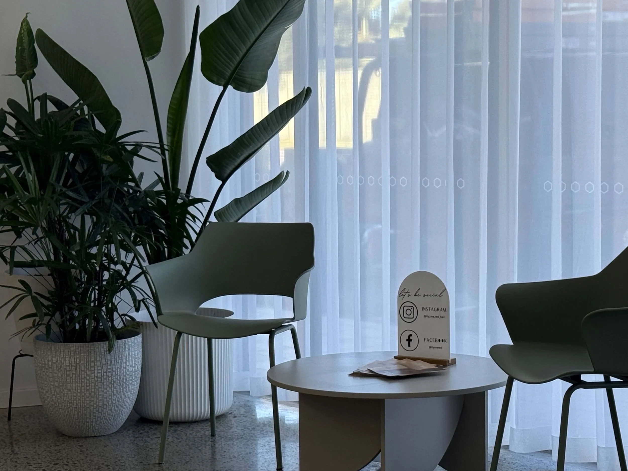 Interior scene with two chairs, a round table with pamphlets, a large potted plant, and sheer curtains with sunlight outside.