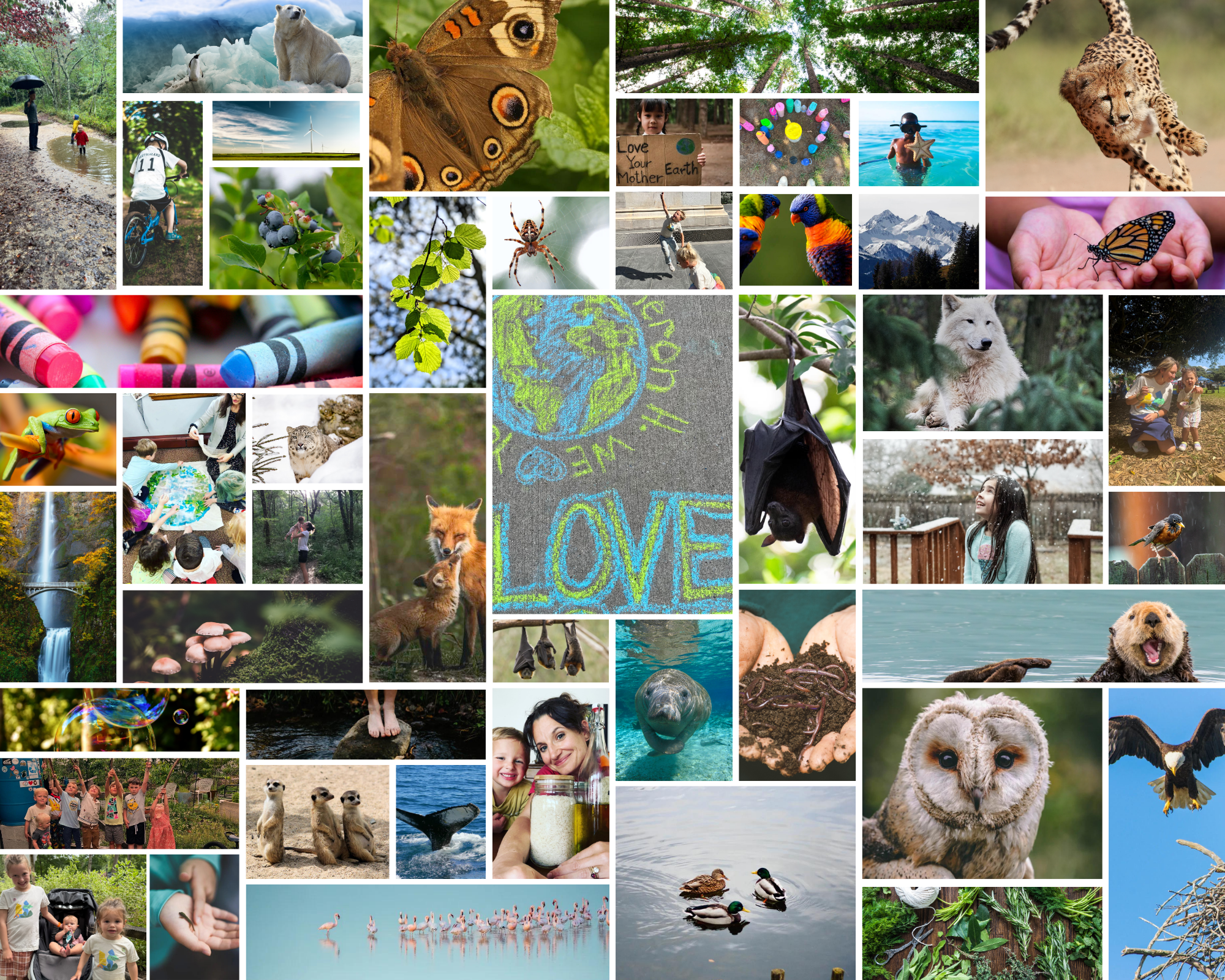Council of All Beings