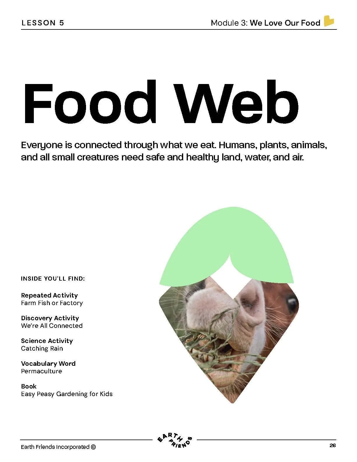 Food Web