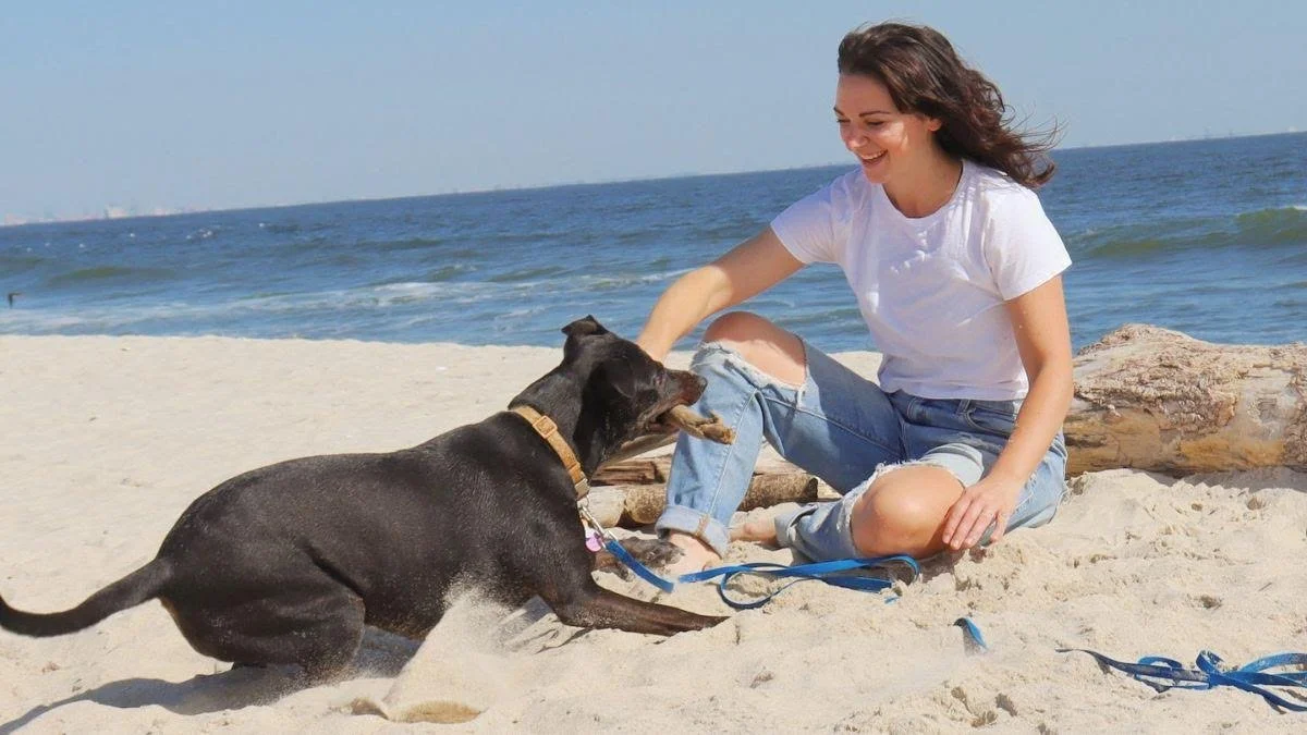 Train Your Dog Less. Enjoy More.