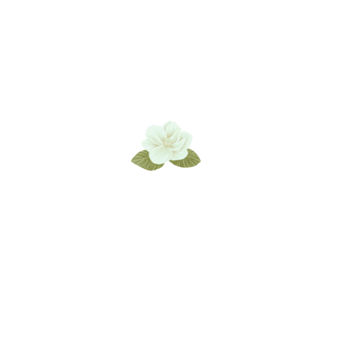 Lafitte Guest House