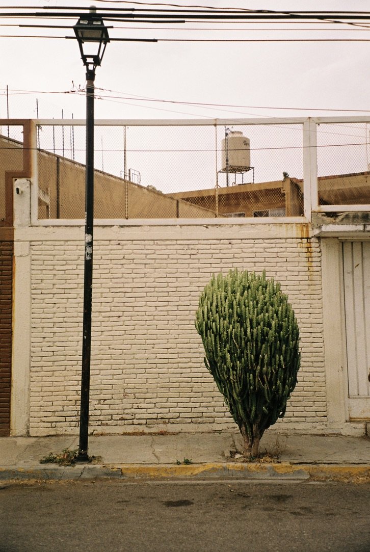 DBAC6059-5EC1-444B-BE0B-0AB94BABA321_1_105_c.jpeg