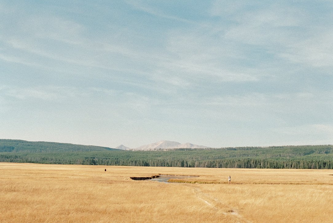 C7165977-074D-42D9-AF7C-88A341A3EE0A_1_105_c.jpeg