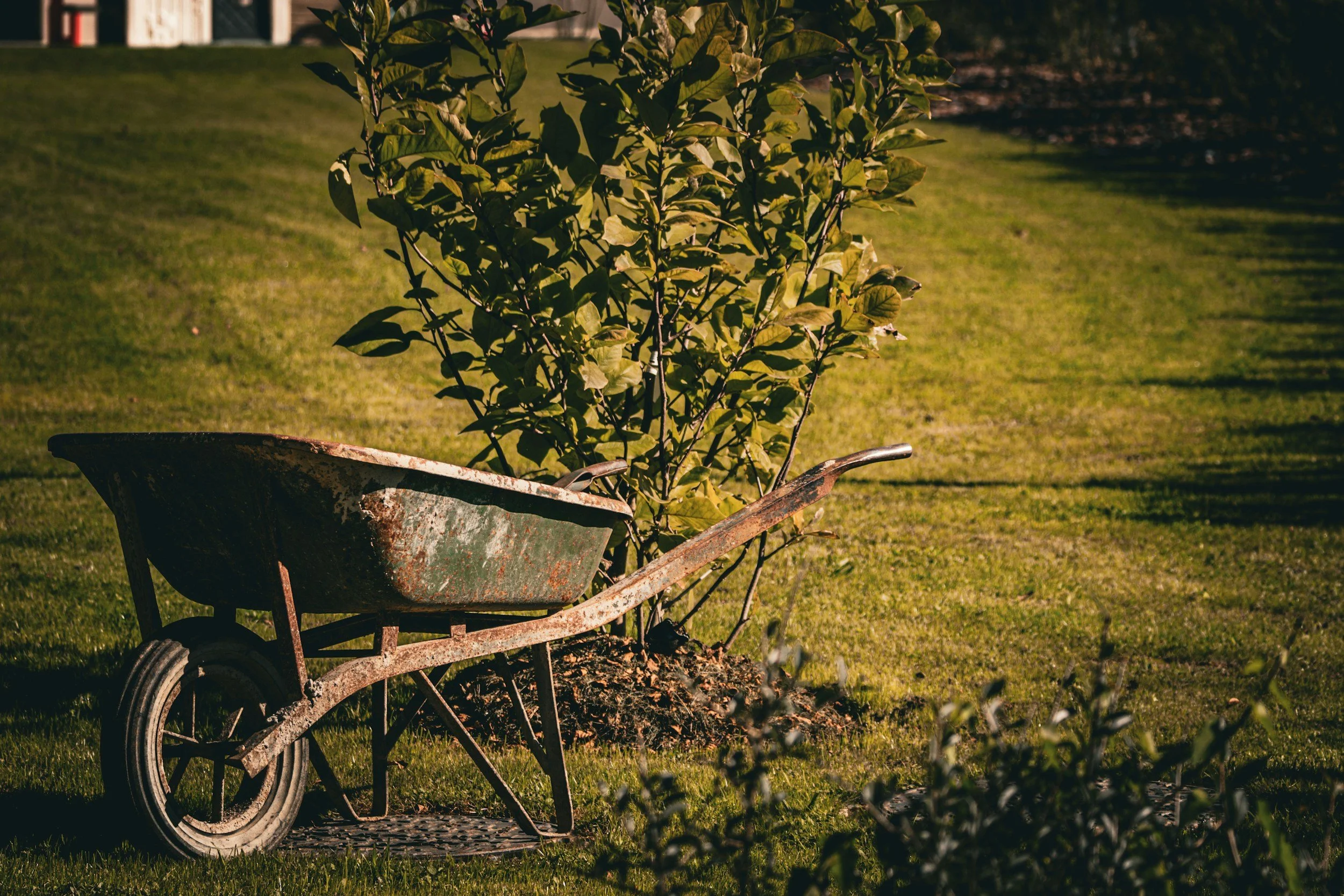 Youth Spring Cleanup