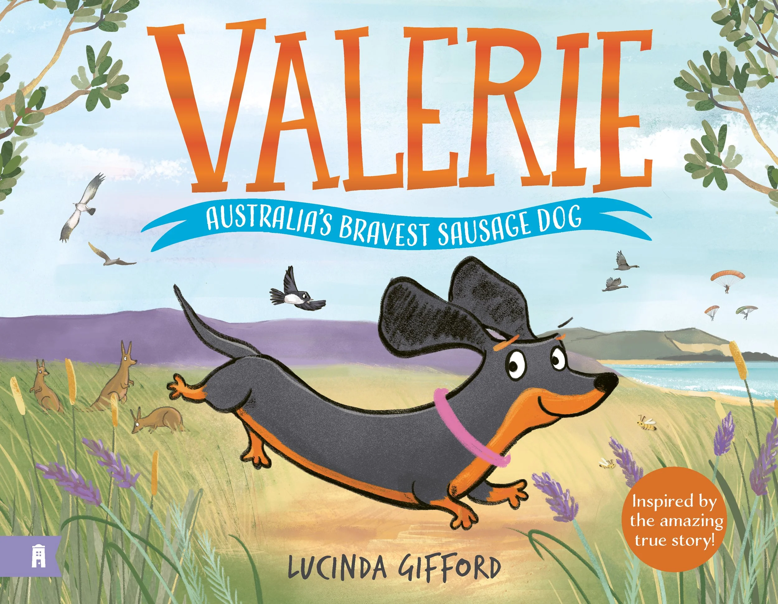 Valerie: Australia's Bravest Sausage Dog by Lucinda Gifford