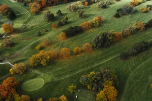 Sweet Spot Indoor Golf - Photo 4