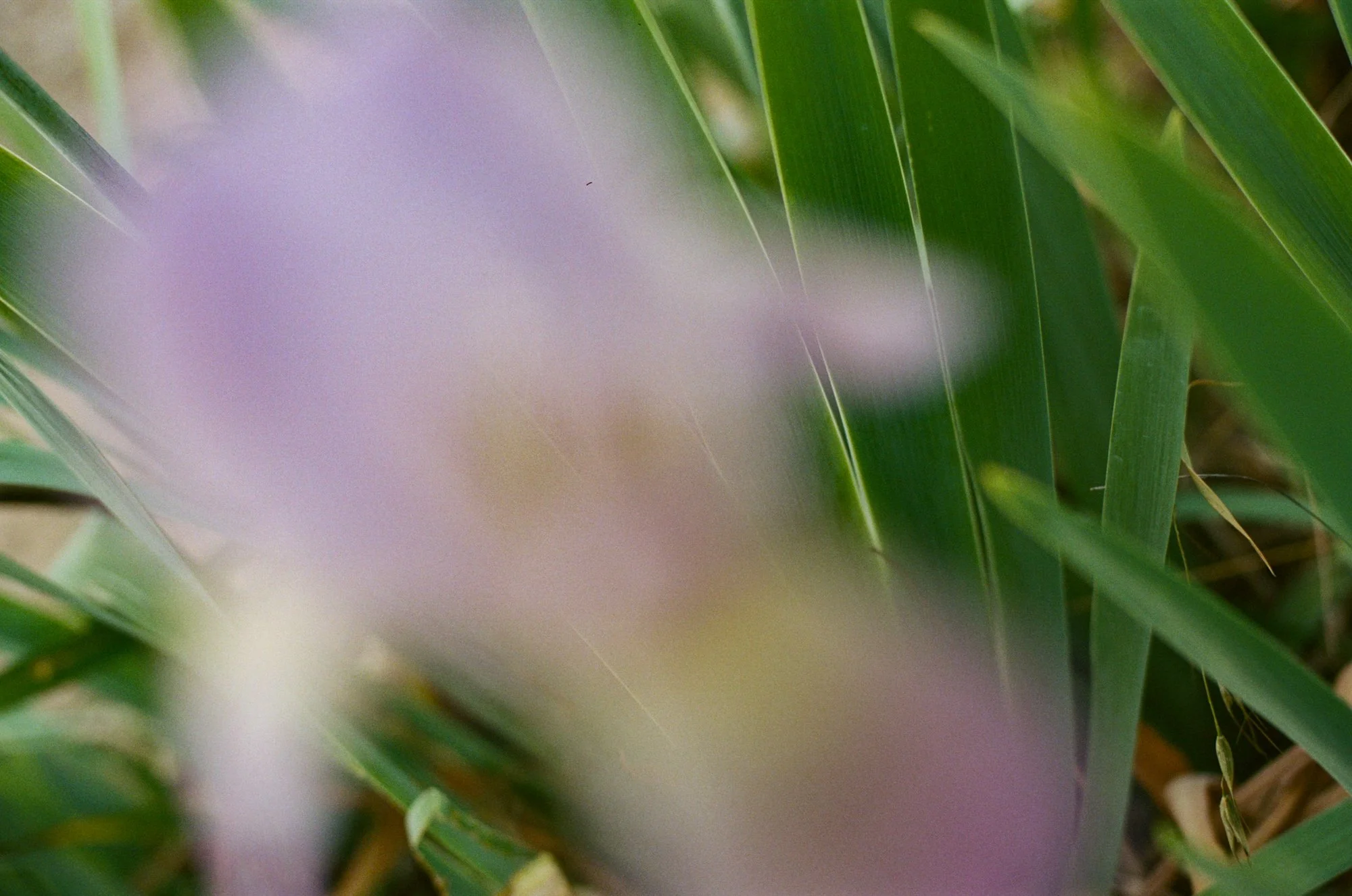 C41-22086-1-0018 2.JPG