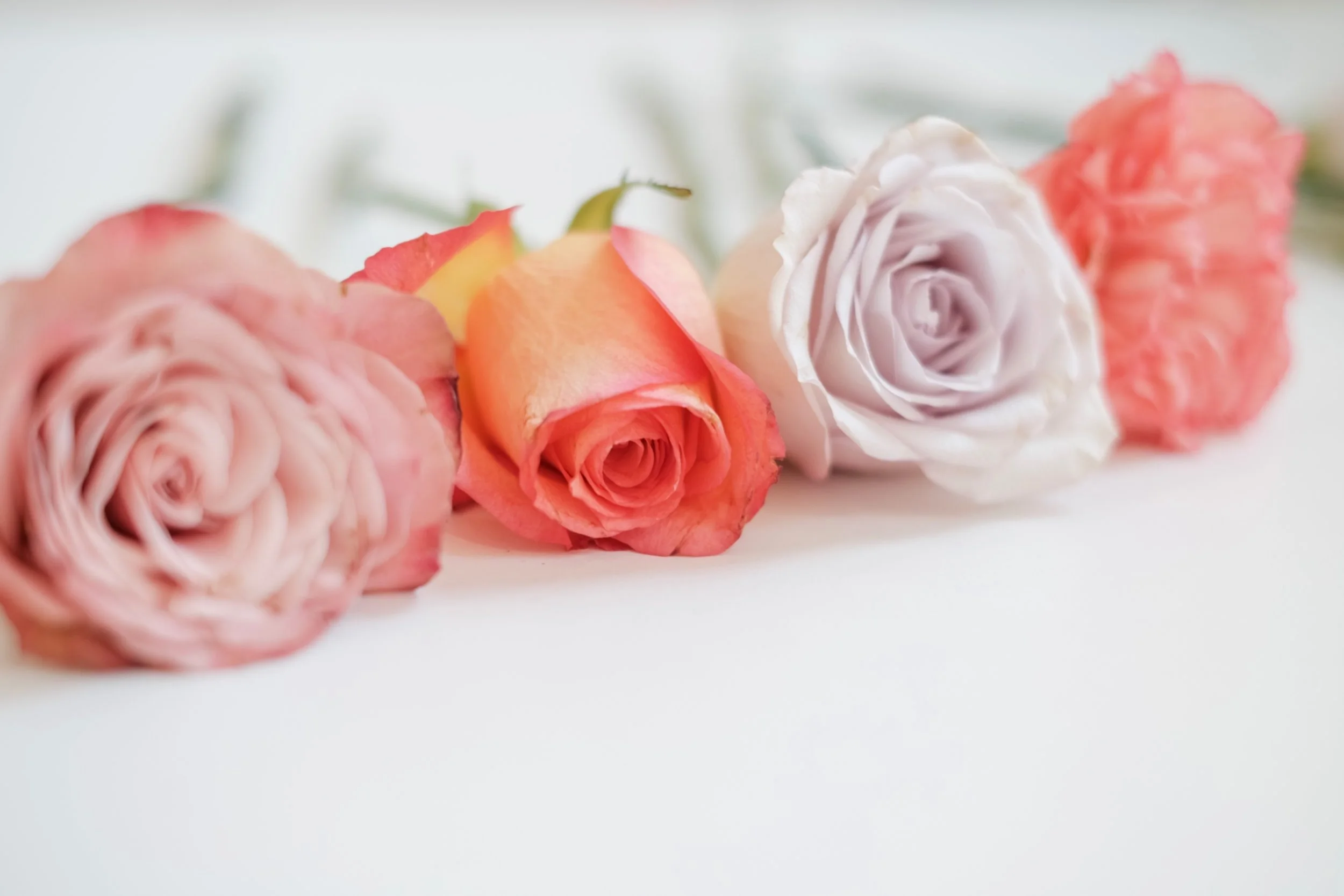 Anelia Fleur Wedding Stylist & Floral Designer Fresh & Silk Flower
