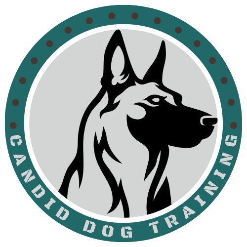 Brisbane dog training