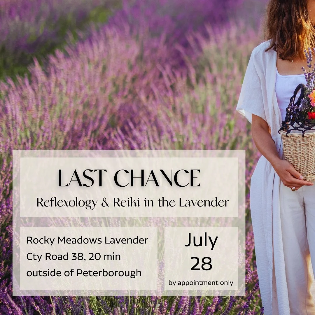 LAST CHANCE!!

Due to the rain date reschedule, I have space for only TWO more sessions at @rocky.meadows.lavender on their very last day of open field this season! 

If you were on the fence, or bummed you didn&rsquo;t get a spot - now&rsquo;s your 
