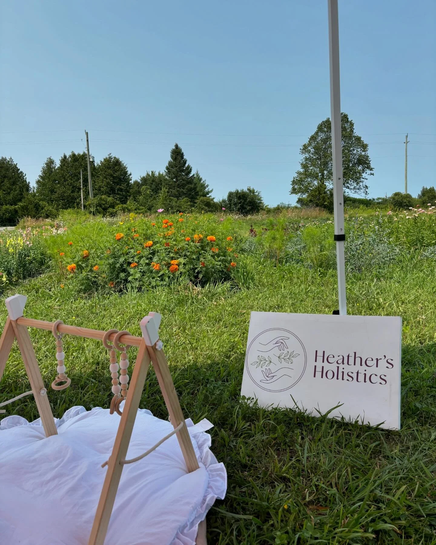 Birds, bees, and babies 🌸✌️

Had such a beautiful time at @sanctuaryflowerfields today. I&rsquo;m truly blessed to be able to support humans of all ages &amp; stages on their journey in this capacity. 

If you want to come hang out with the 🌸🌻🌼 a