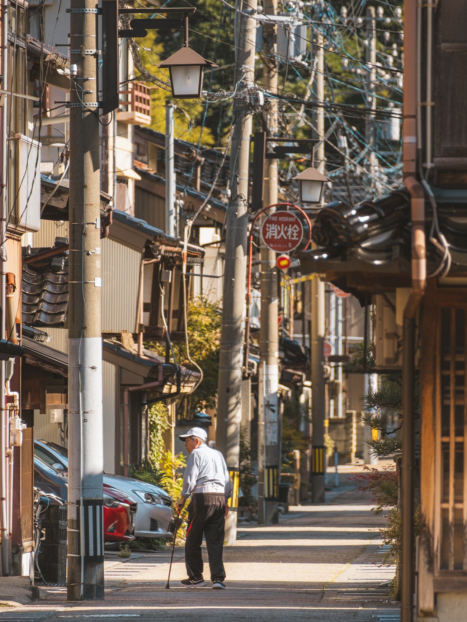 Roaming Around Higashi Chaya