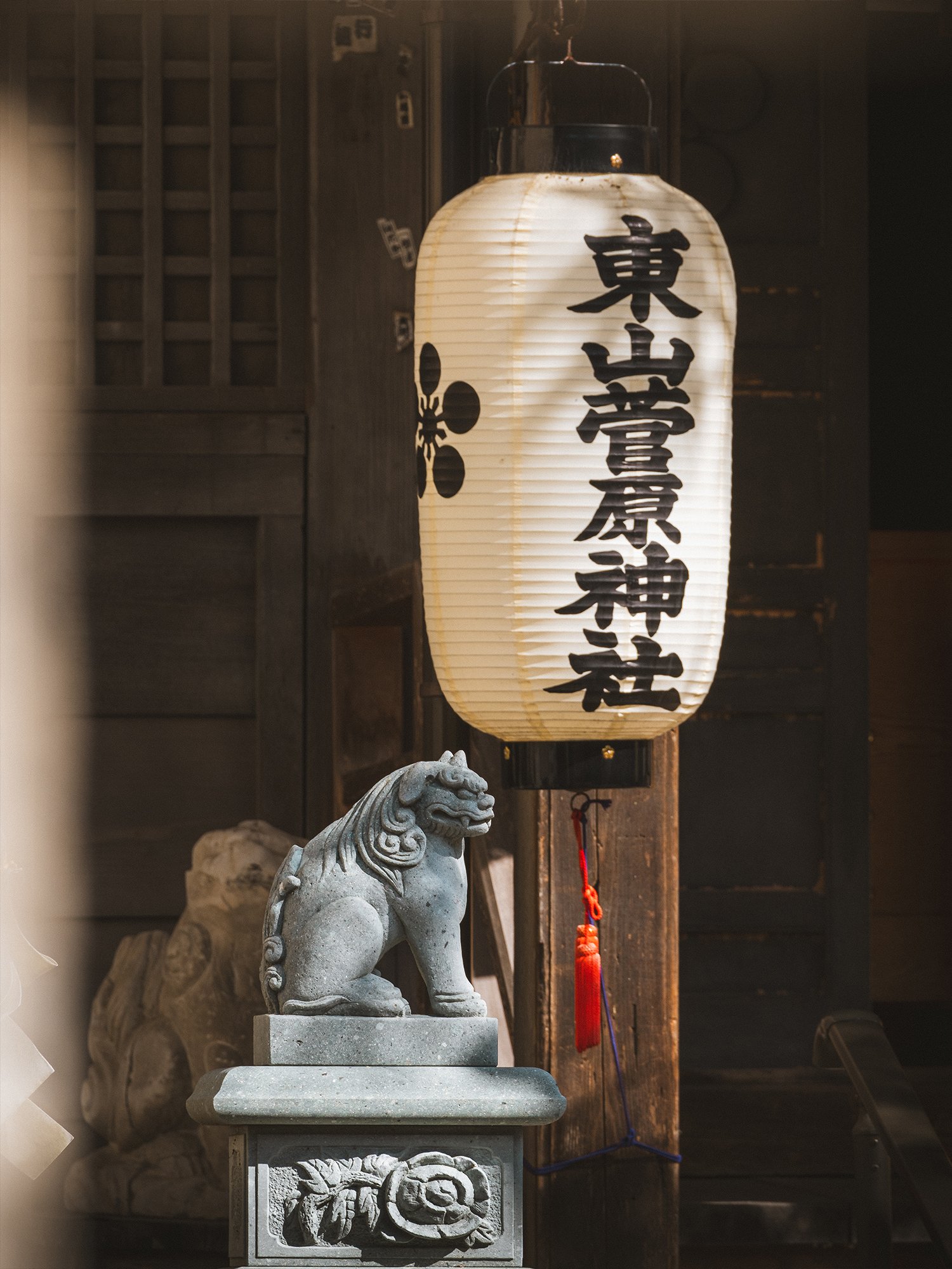 Roaming Around Higashi Chaya