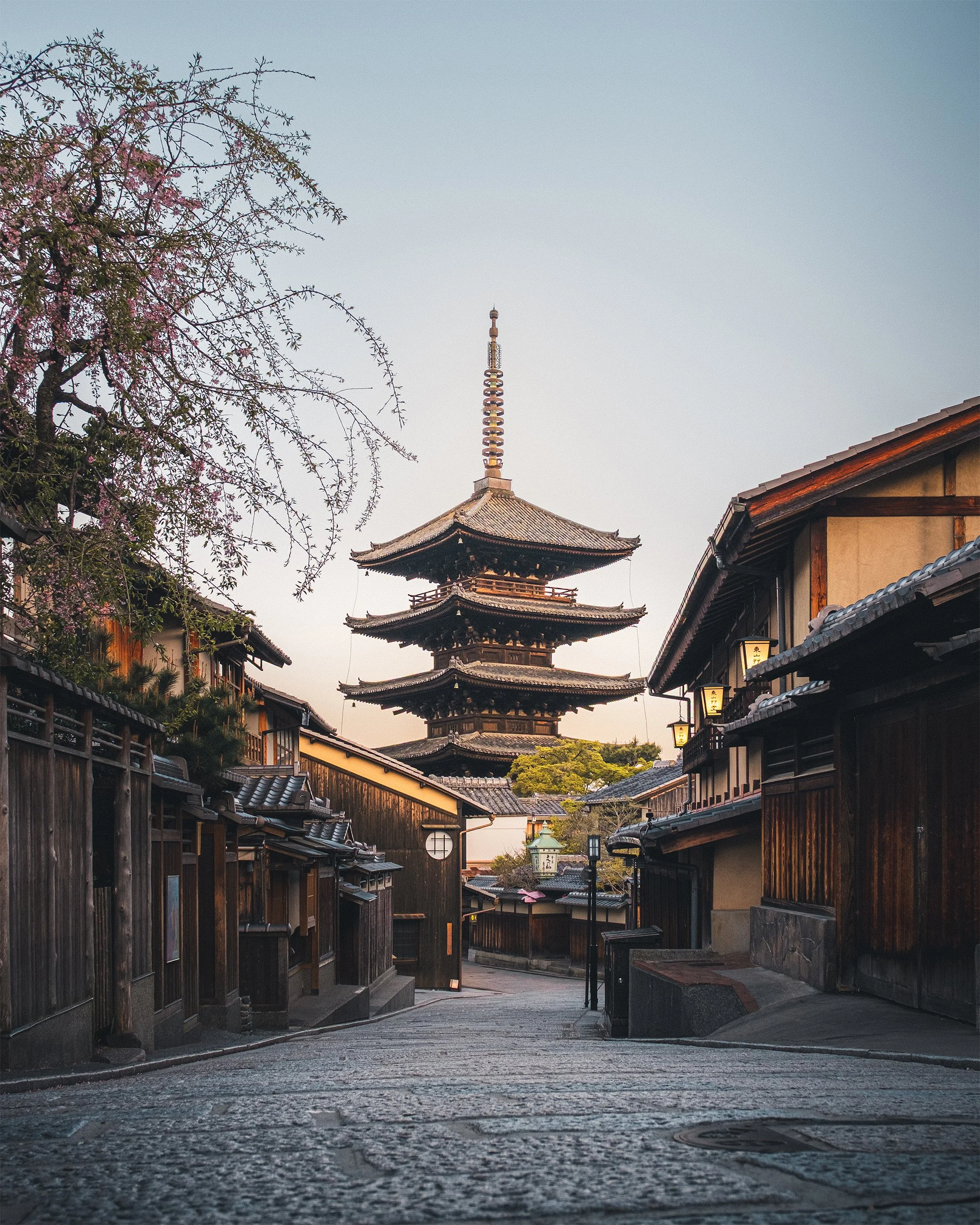 18_Web_JapanPortfolio.jpg