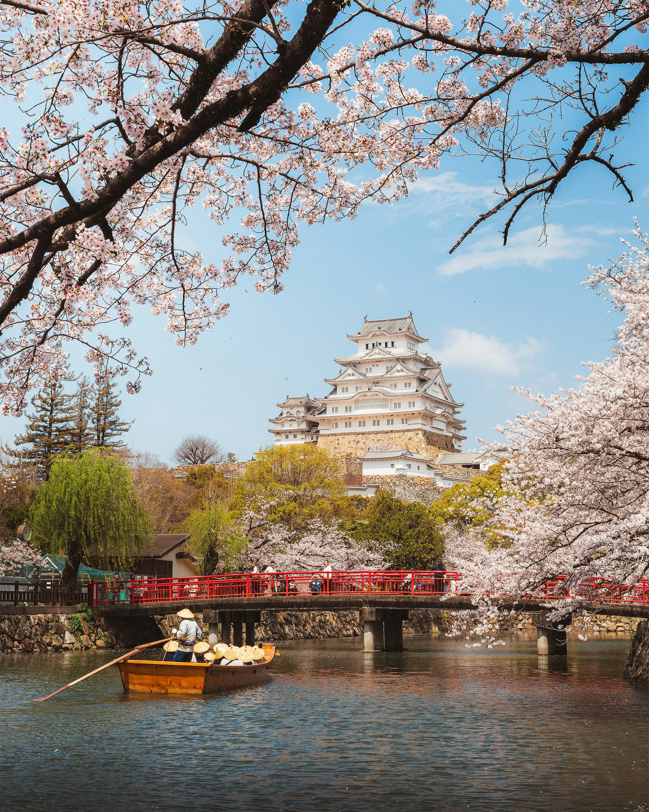 14_Web_JapanPortfolio.jpg
