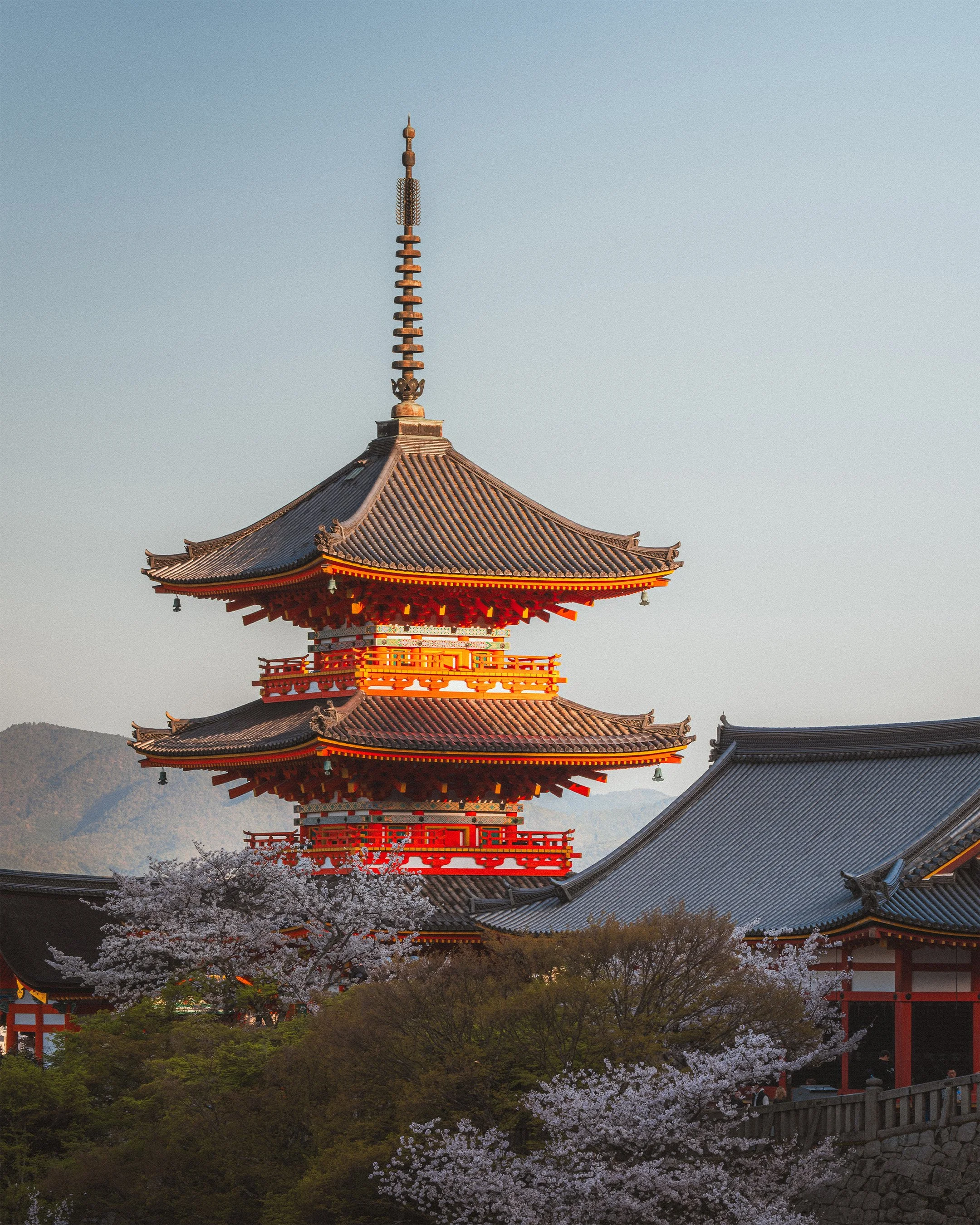 37_Web_JapanPortfolio.jpg