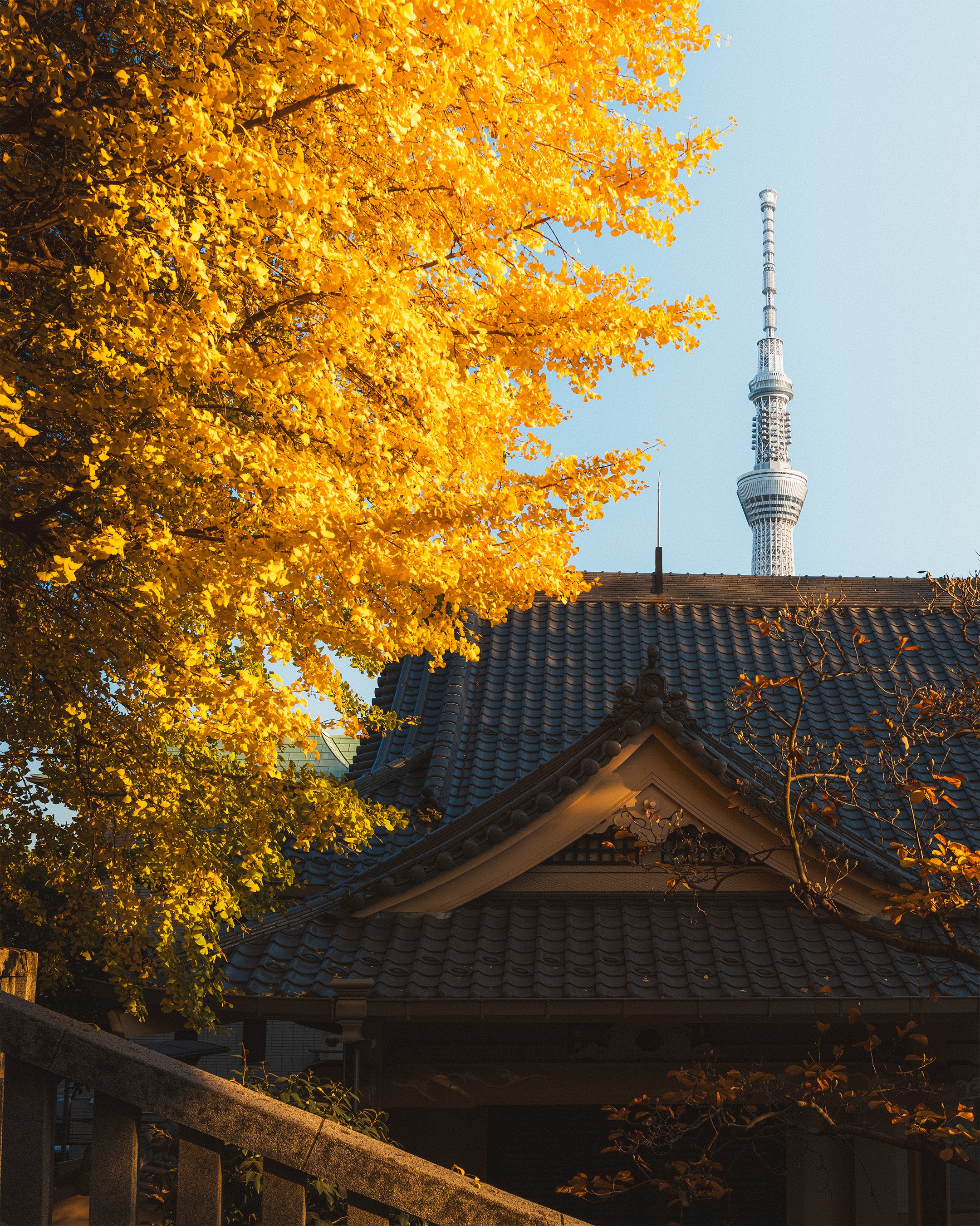 23_Web_JapanPortfolio.jpg