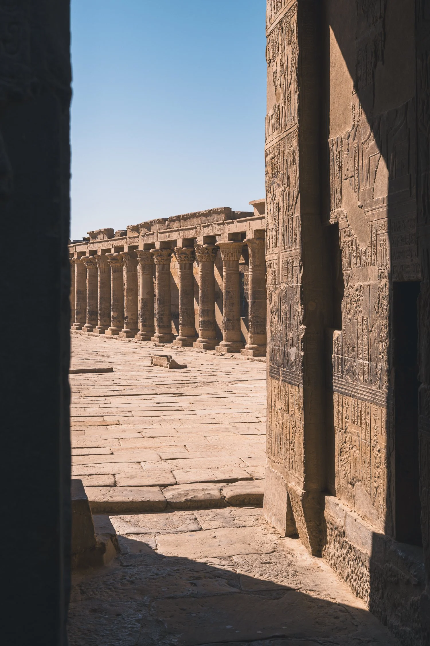 rohanugale.com-egypt-portfolio-43.jpg