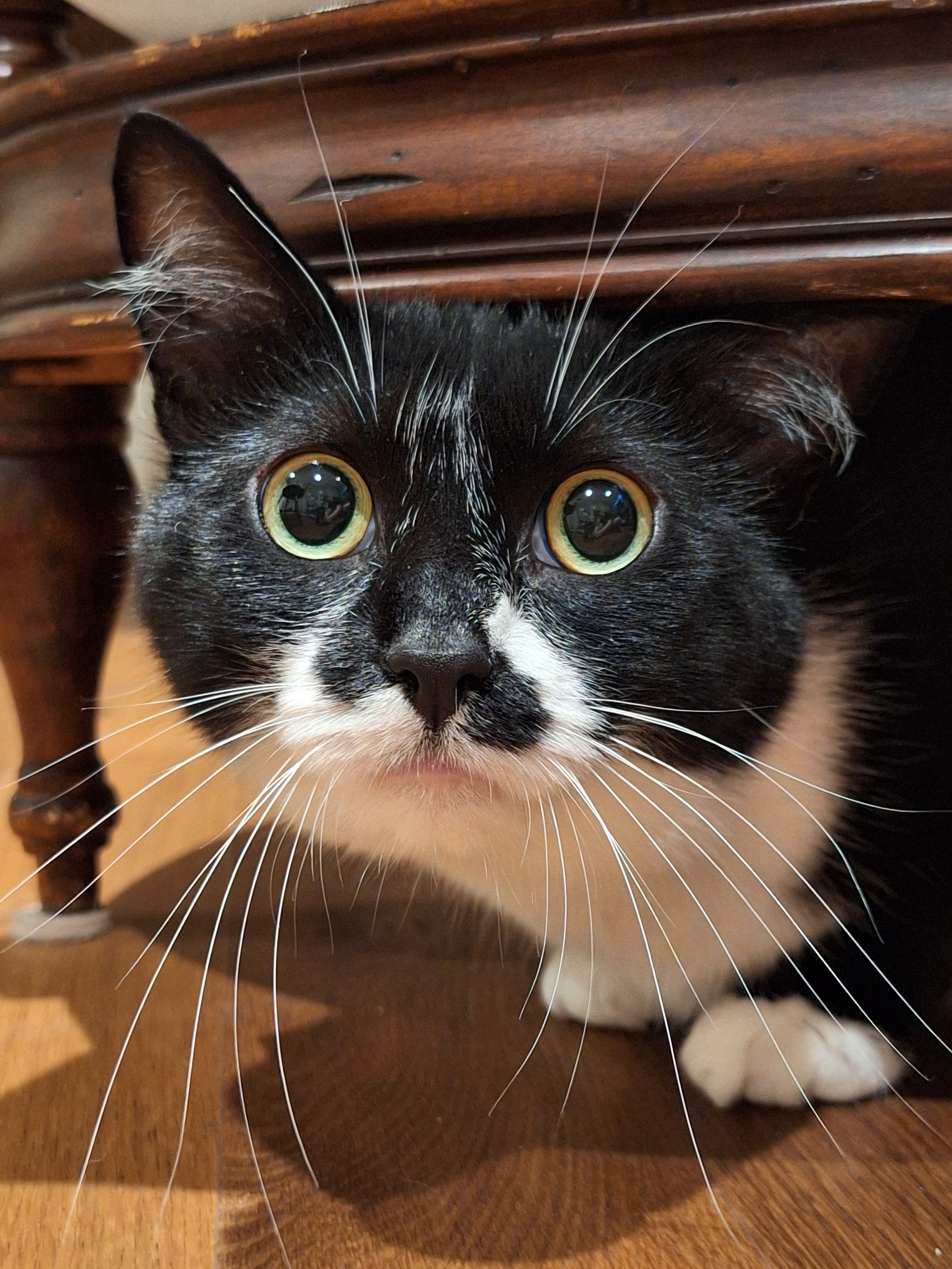 Rica — A Sanctuary Cafe