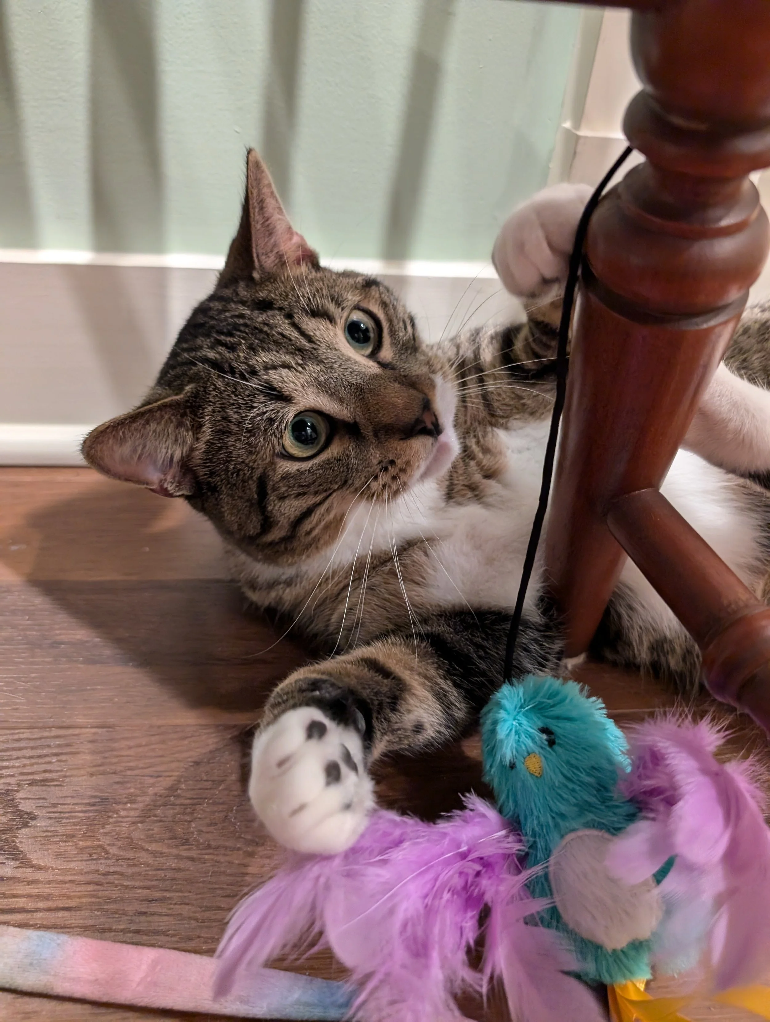 Billy — A Sanctuary Cafe