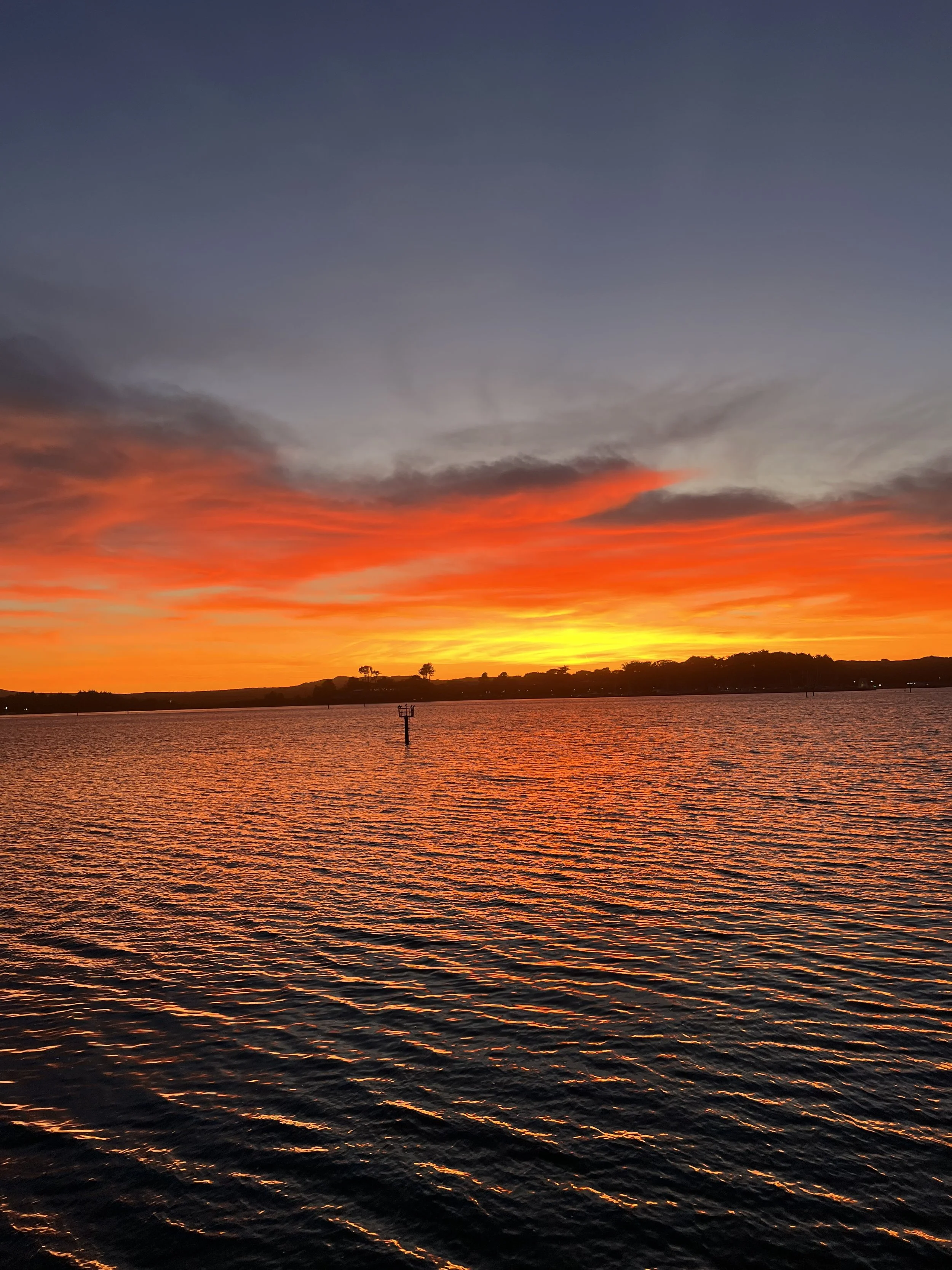 Bodega Bay pic.jpg