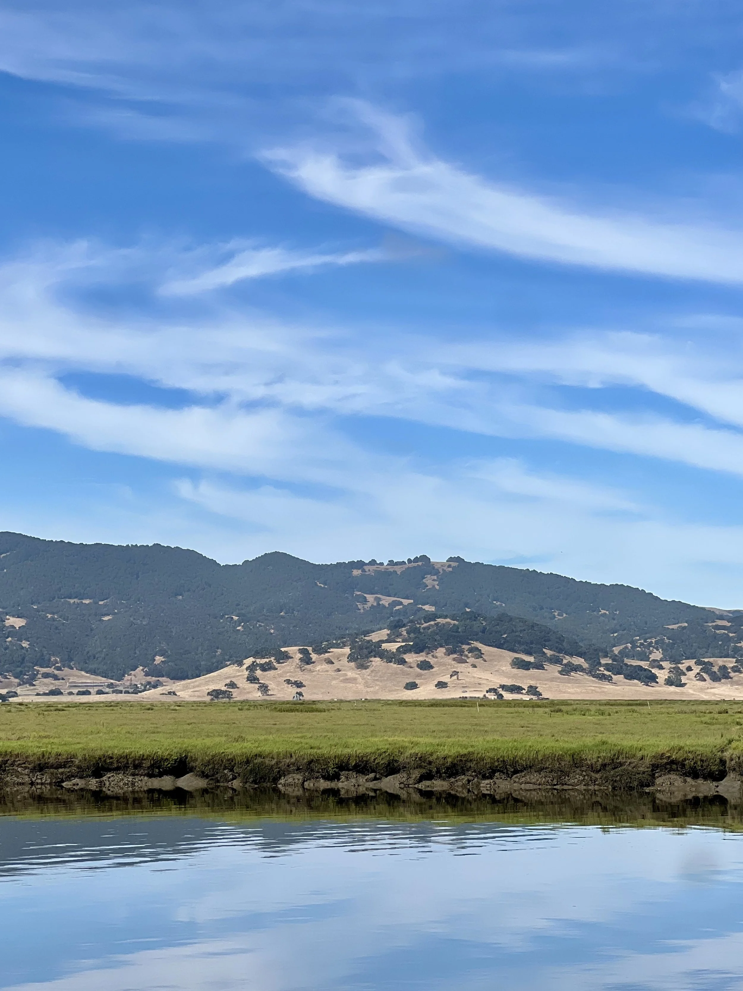 Understanding Petaluma’s Tale of Two Markets