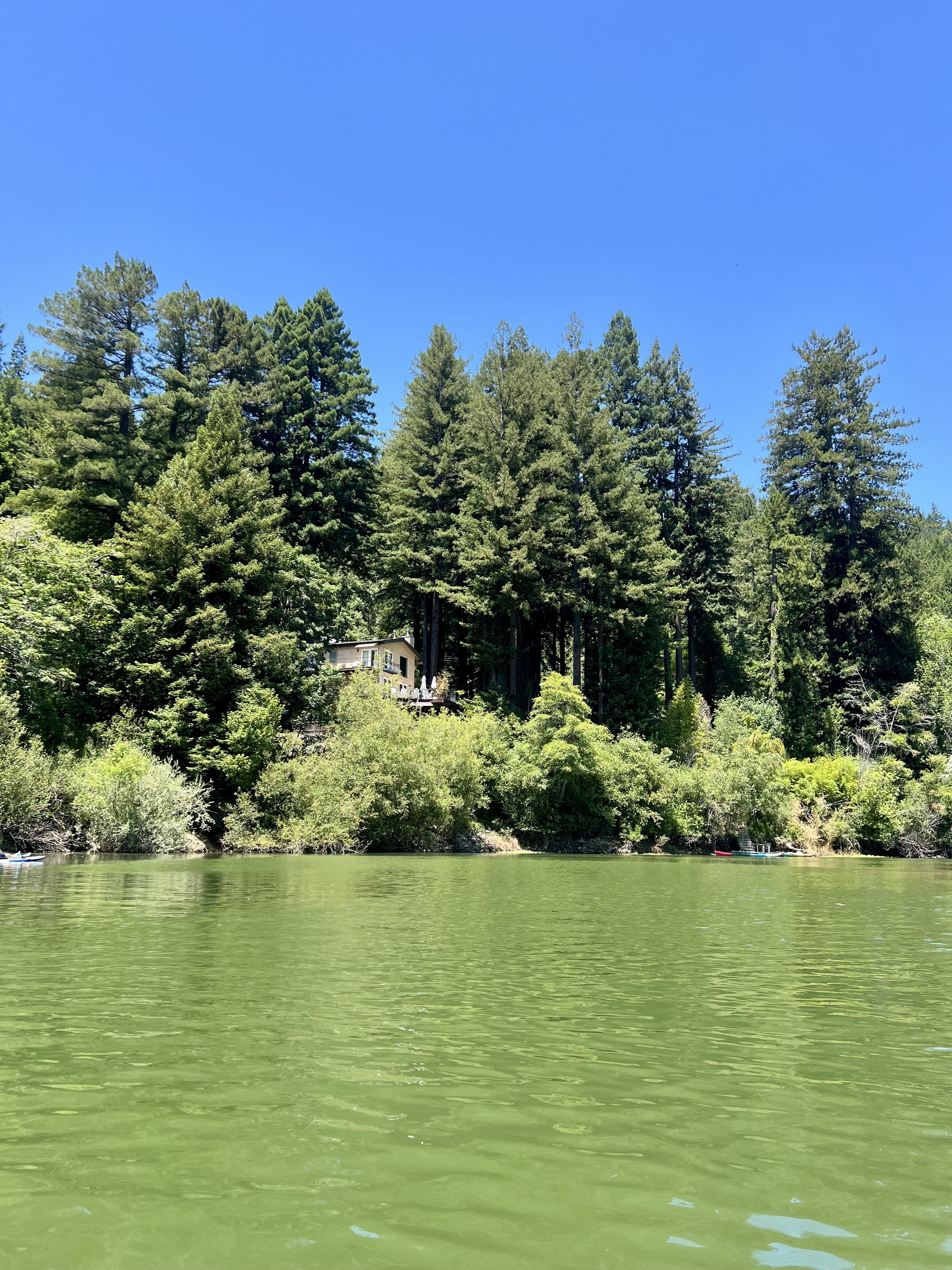 Navigating the Russian River Real Estate Market: