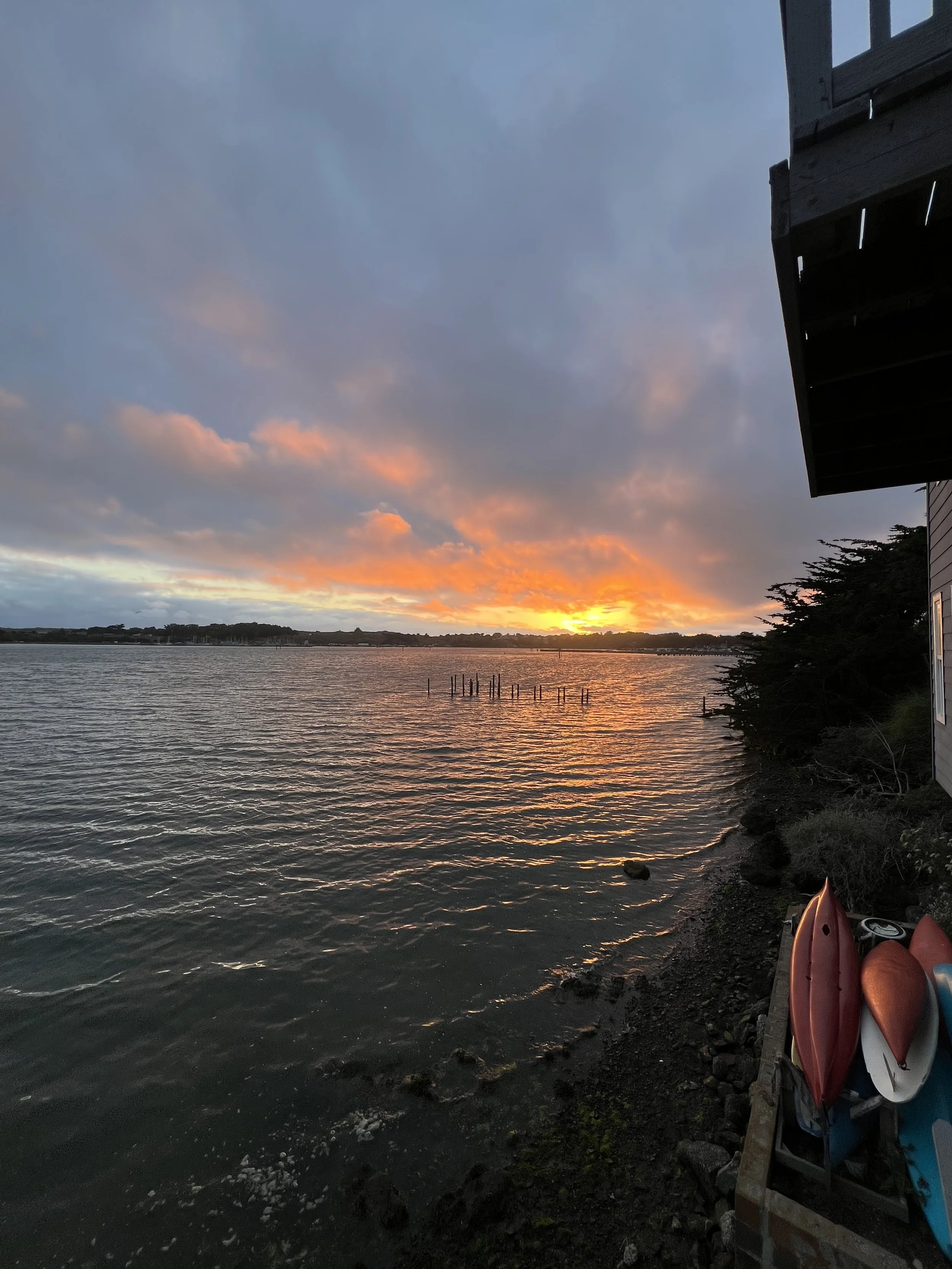 A Deep Dive into the Bodega Bay Real Estate Market: Premium Coastlines, Shifted Expectations
