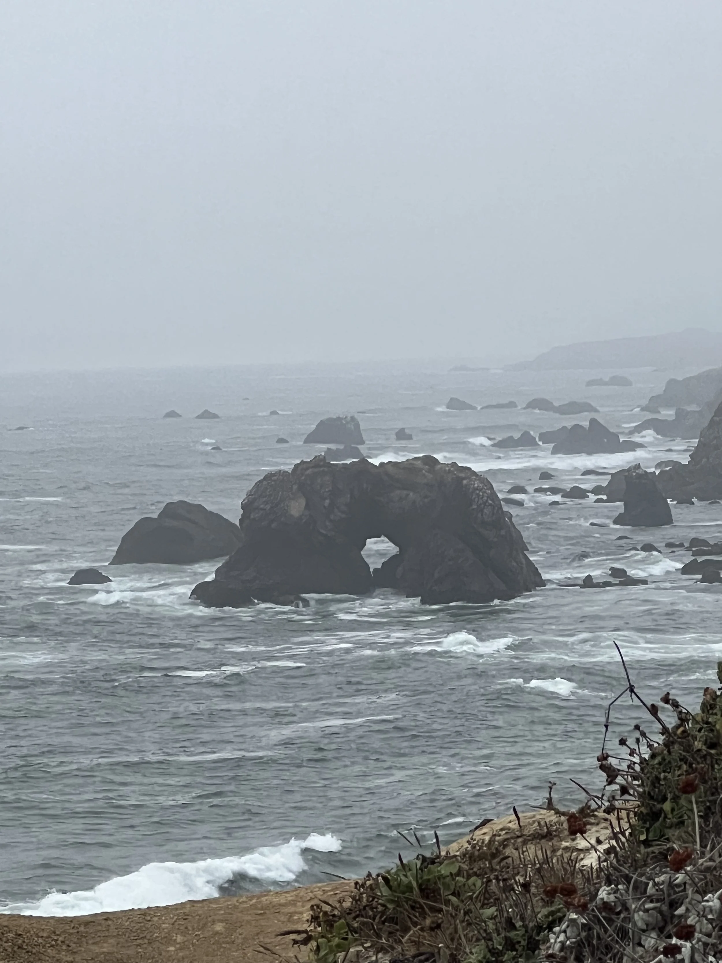 Ditch the Highway 101 Traffic: The Ultimate North Bay State Park Staycation Guide