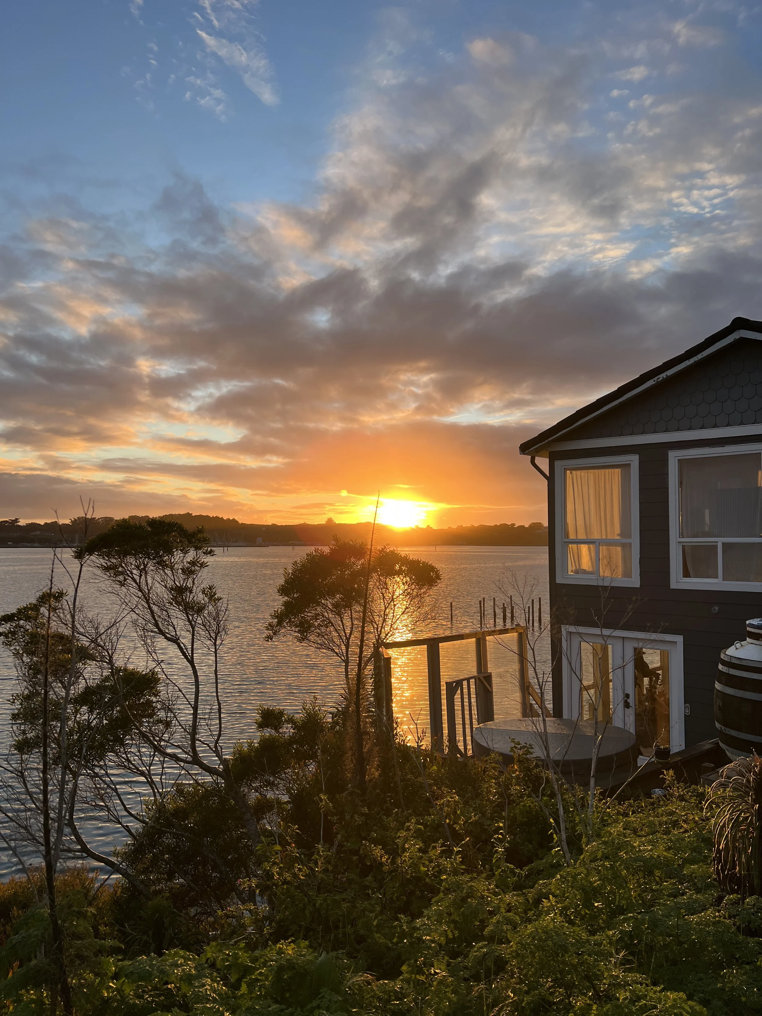 975 Hwy 1 Bodega Bay