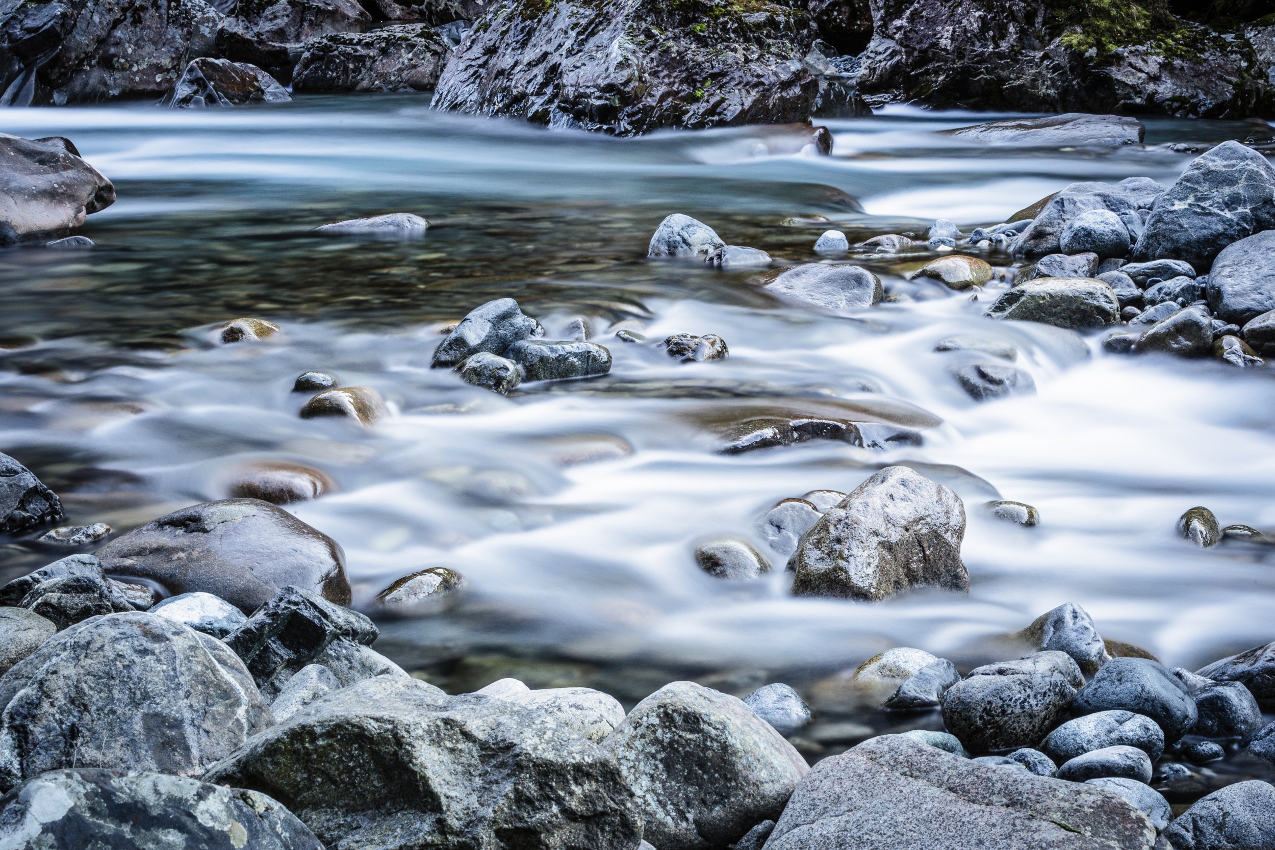 _MG_2154.jpg
