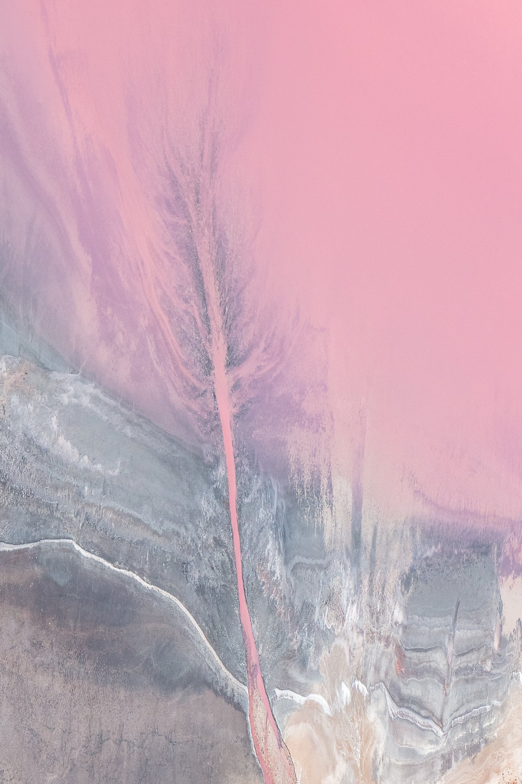 LANDSCAPE PHOTOGRAPHY PINK LAKE HUTT LAGOON - MICHELLE MCKOY PHOTOGRAPHY 0B7A4544.jpg