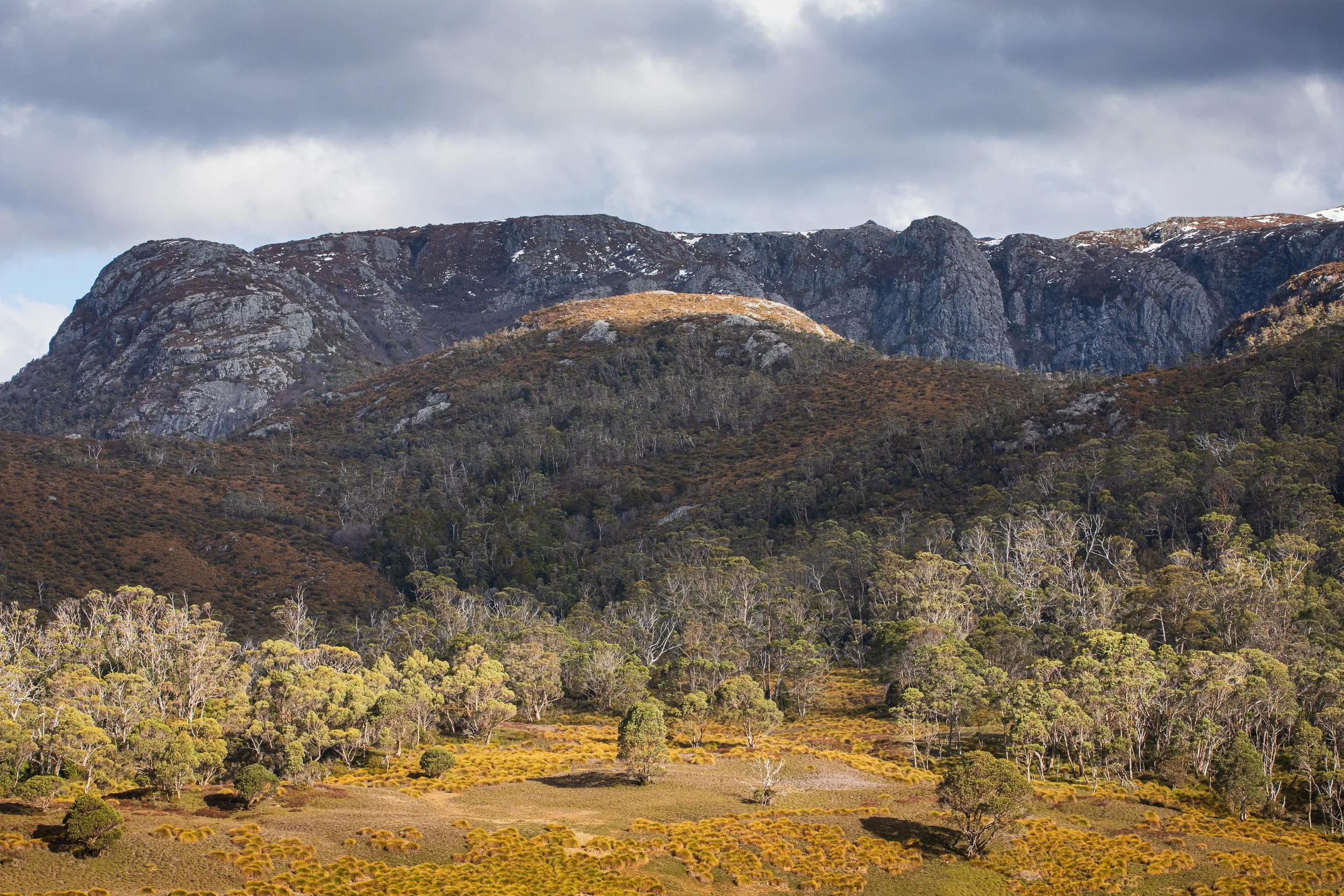 _76A9022 MICHELLE MCKOY PHOTOGRAPHY TASMANIA CRADLE MOUNTAIN.jpg