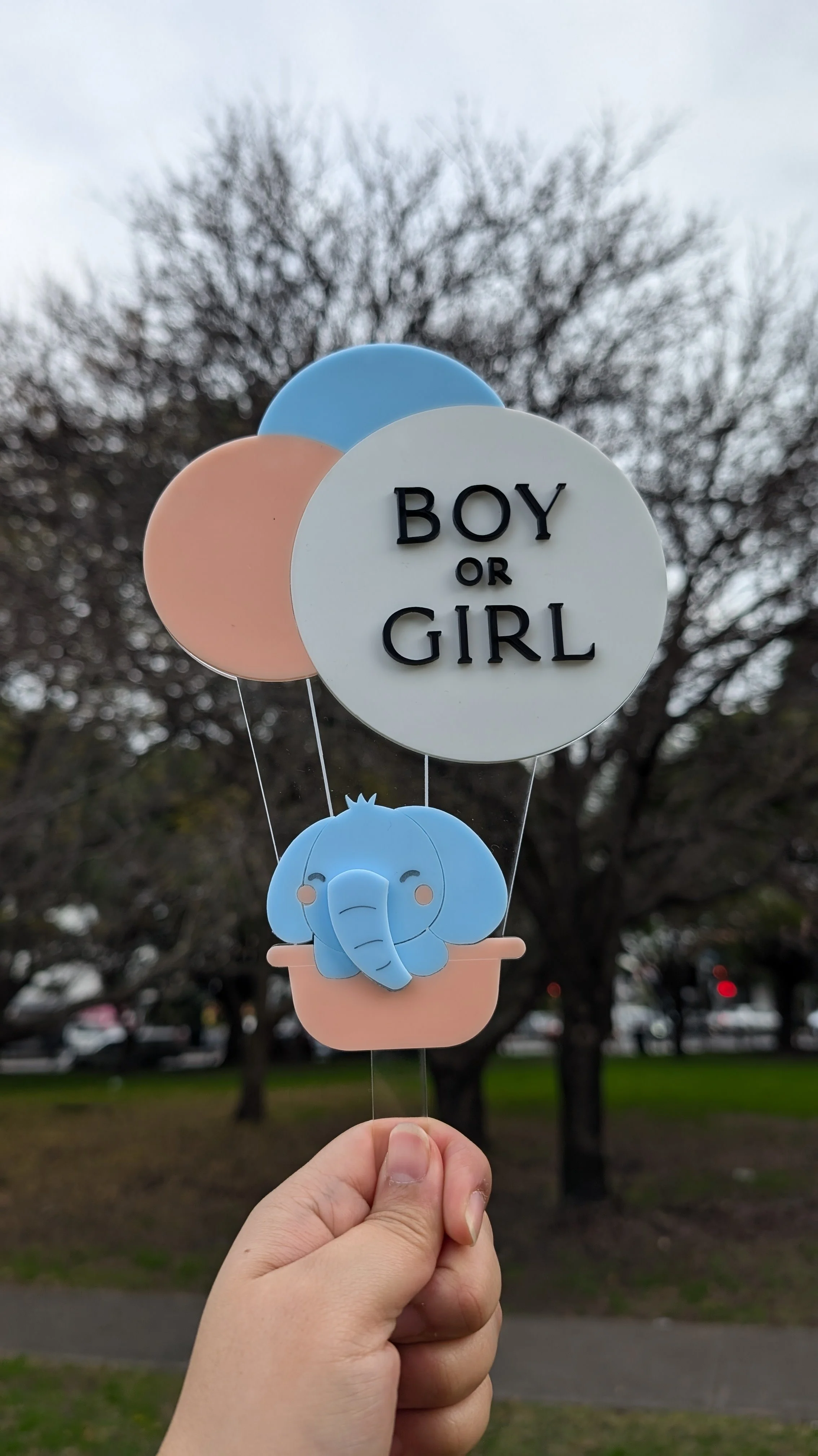 Elephant Gender Reveal Cake Topper