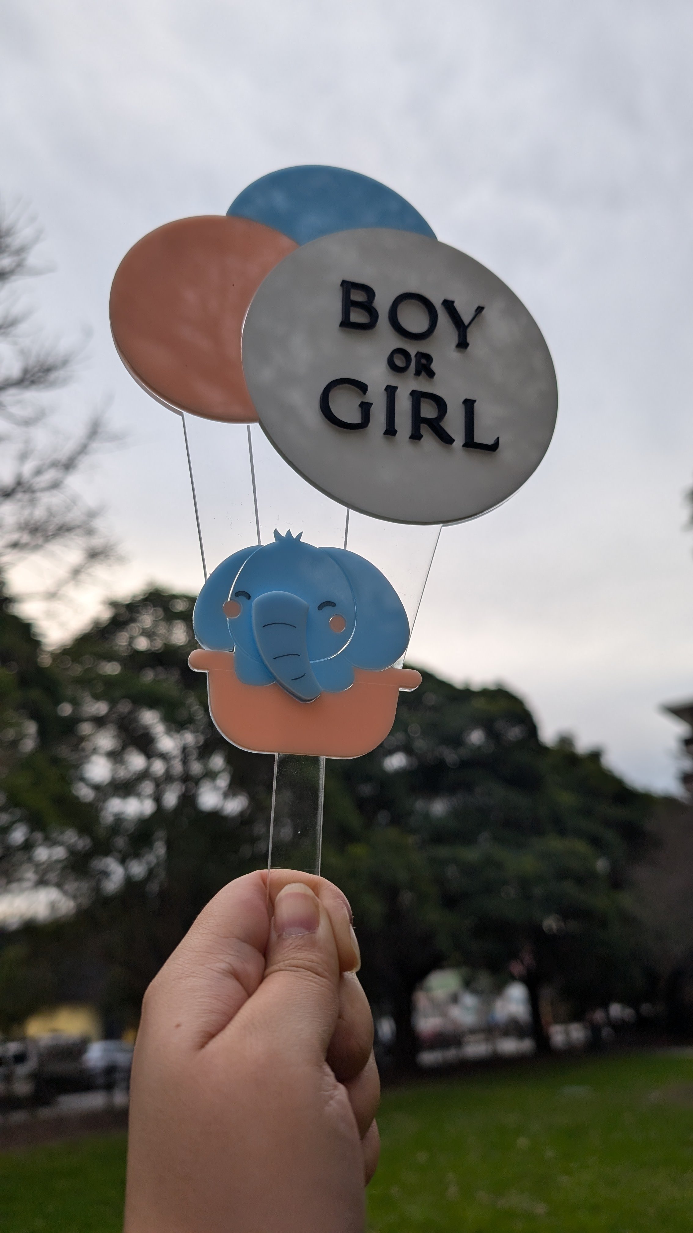 Elephant riding in a hot air balloon that says boy or girl.
