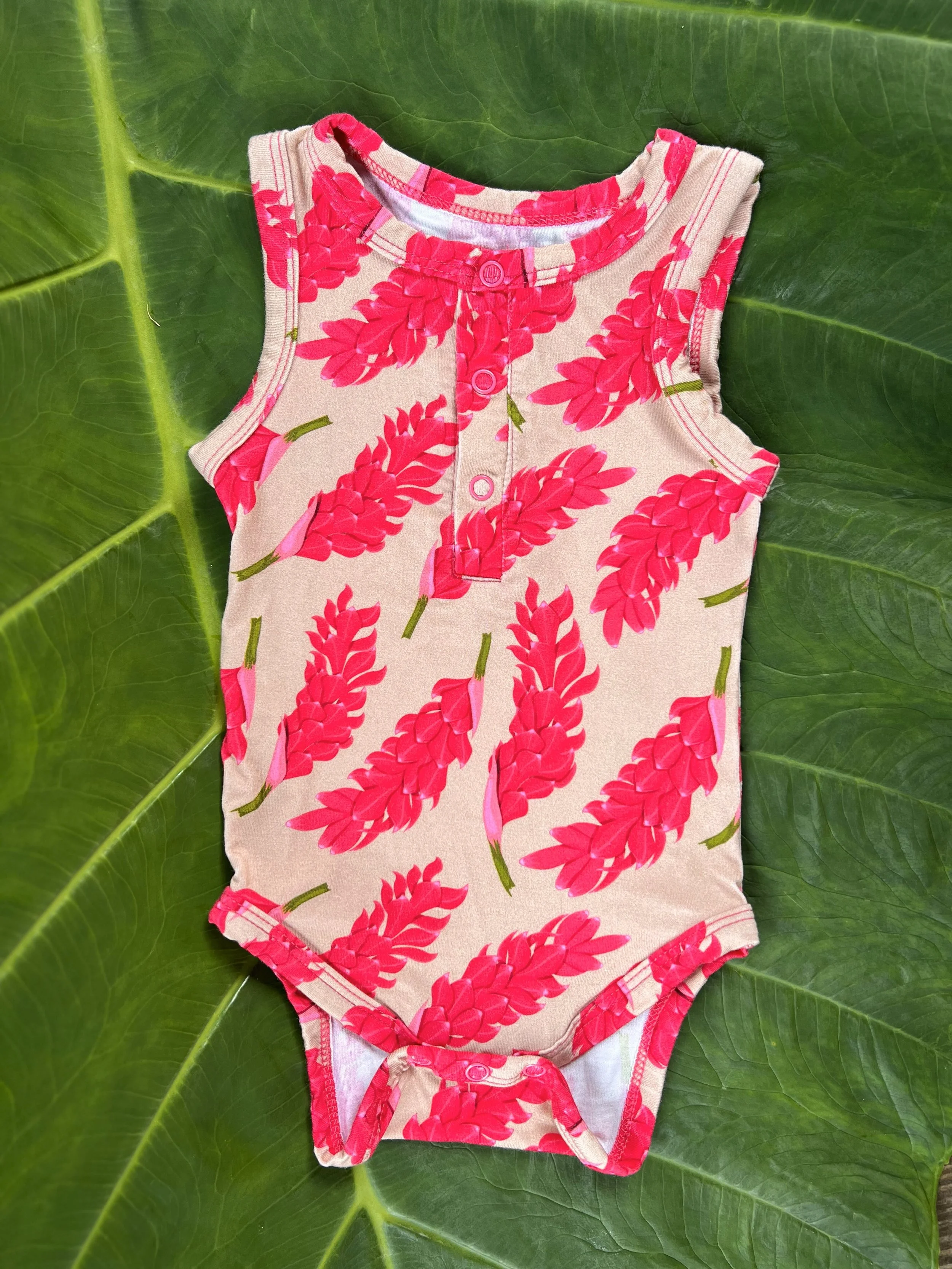 Pink Ginger Front.jpg