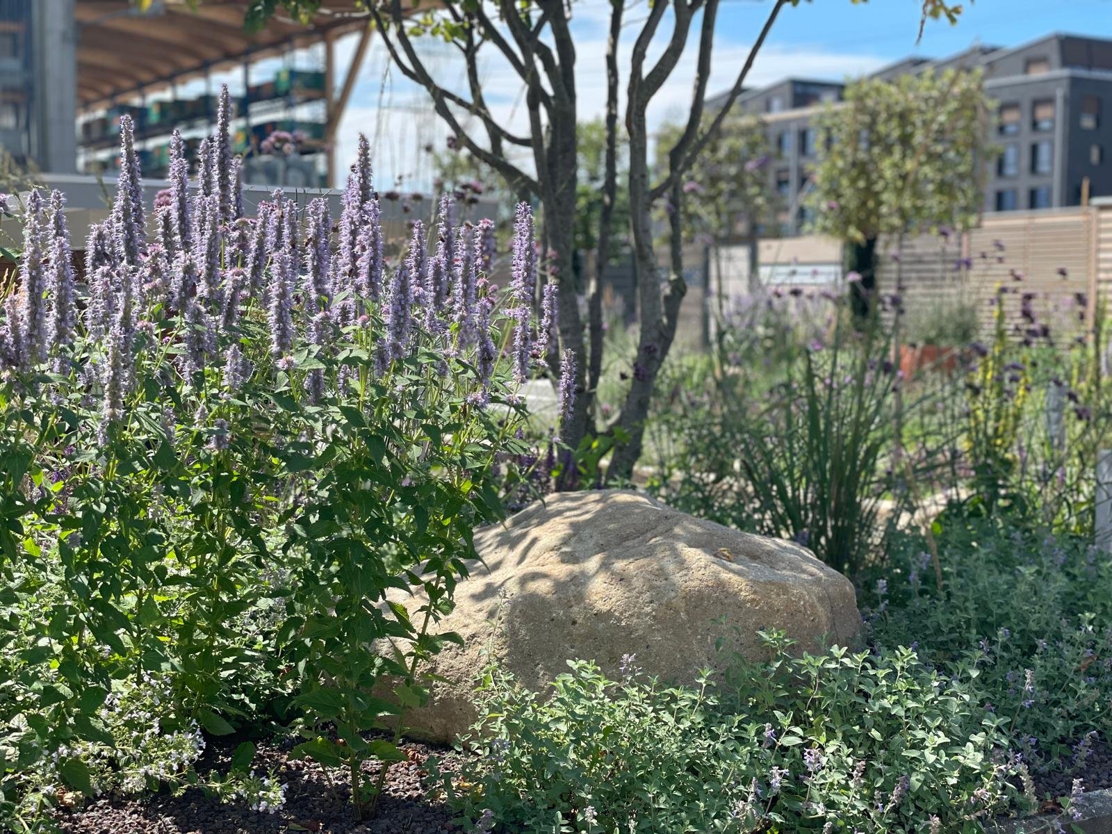 WhatsApp Image 2024-08-09 at 14.03.21 (1).jpeg