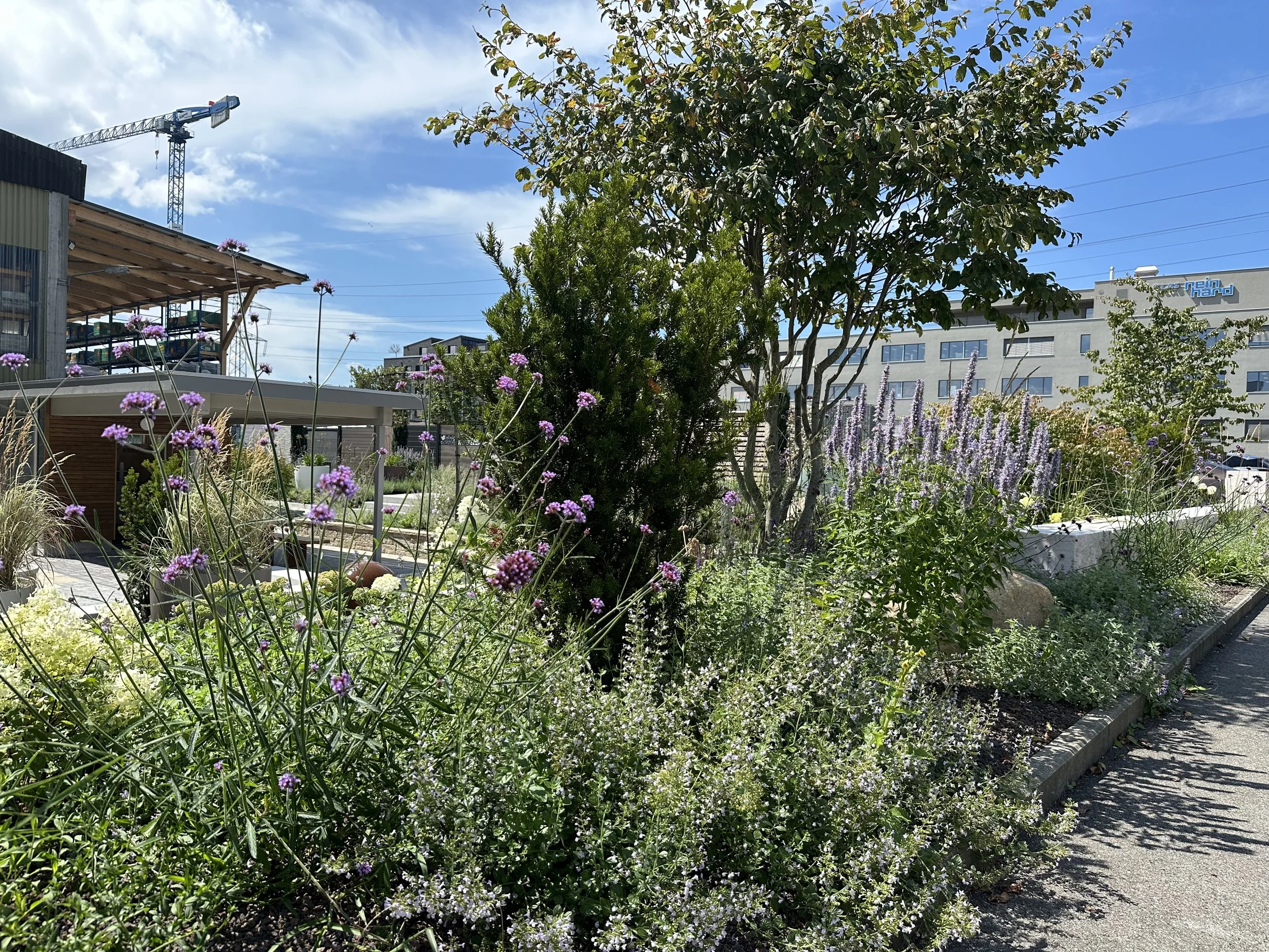 2024-08-09 14.11.32.jpg