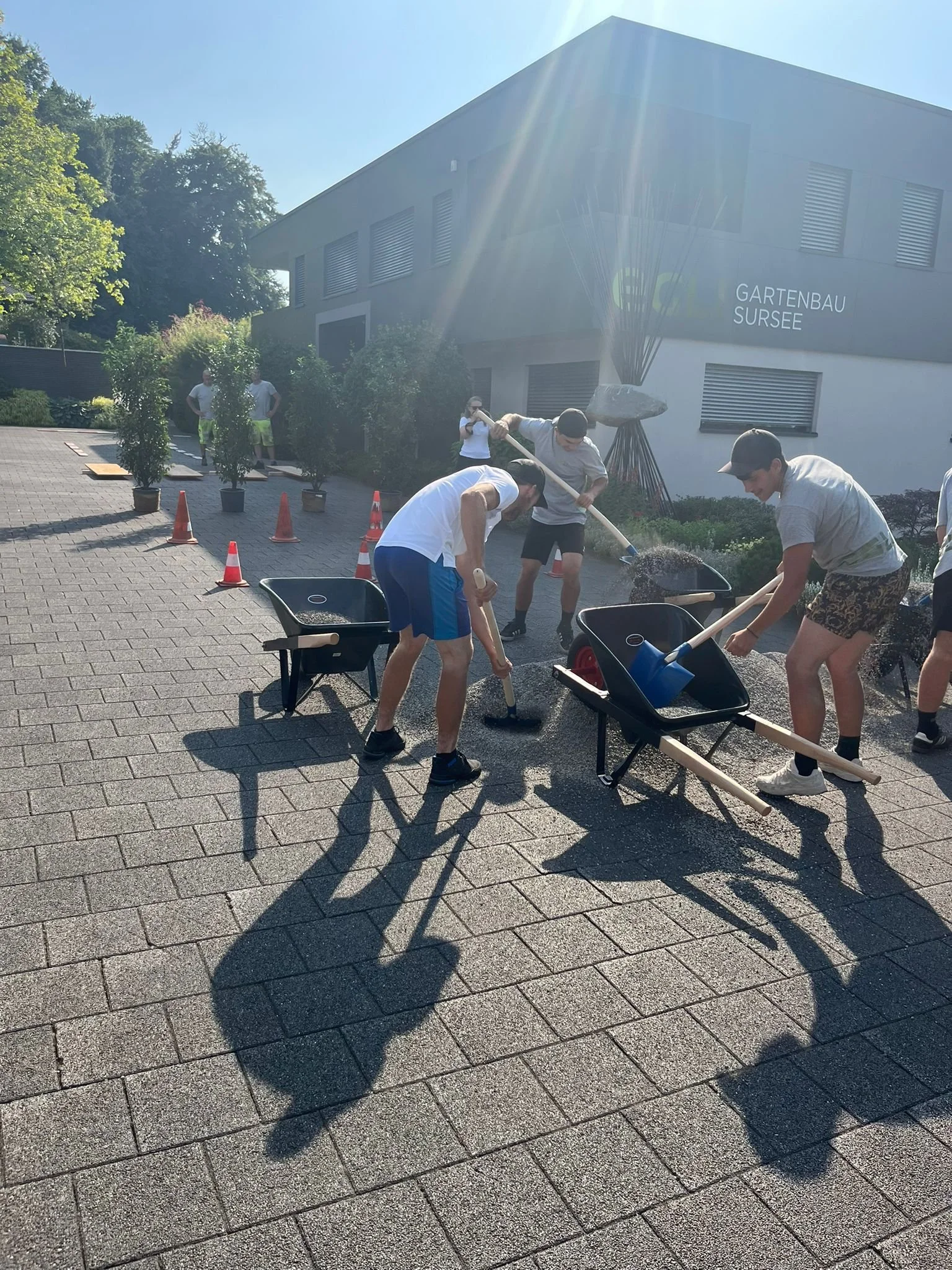 WhatsApp Image 2025-07-14 at 16.55.44.jpeg