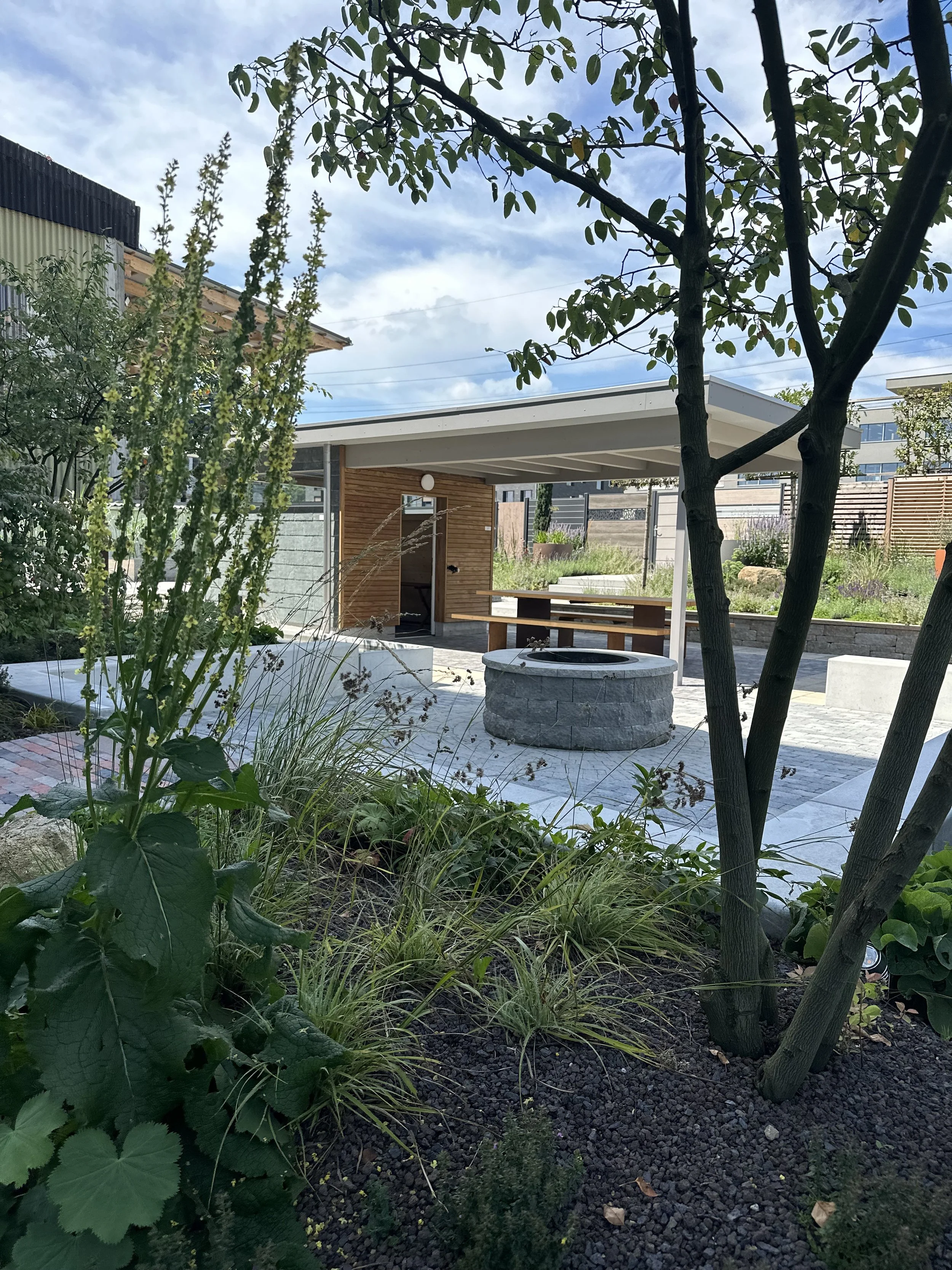 2024-08-09 13.14.24.jpg