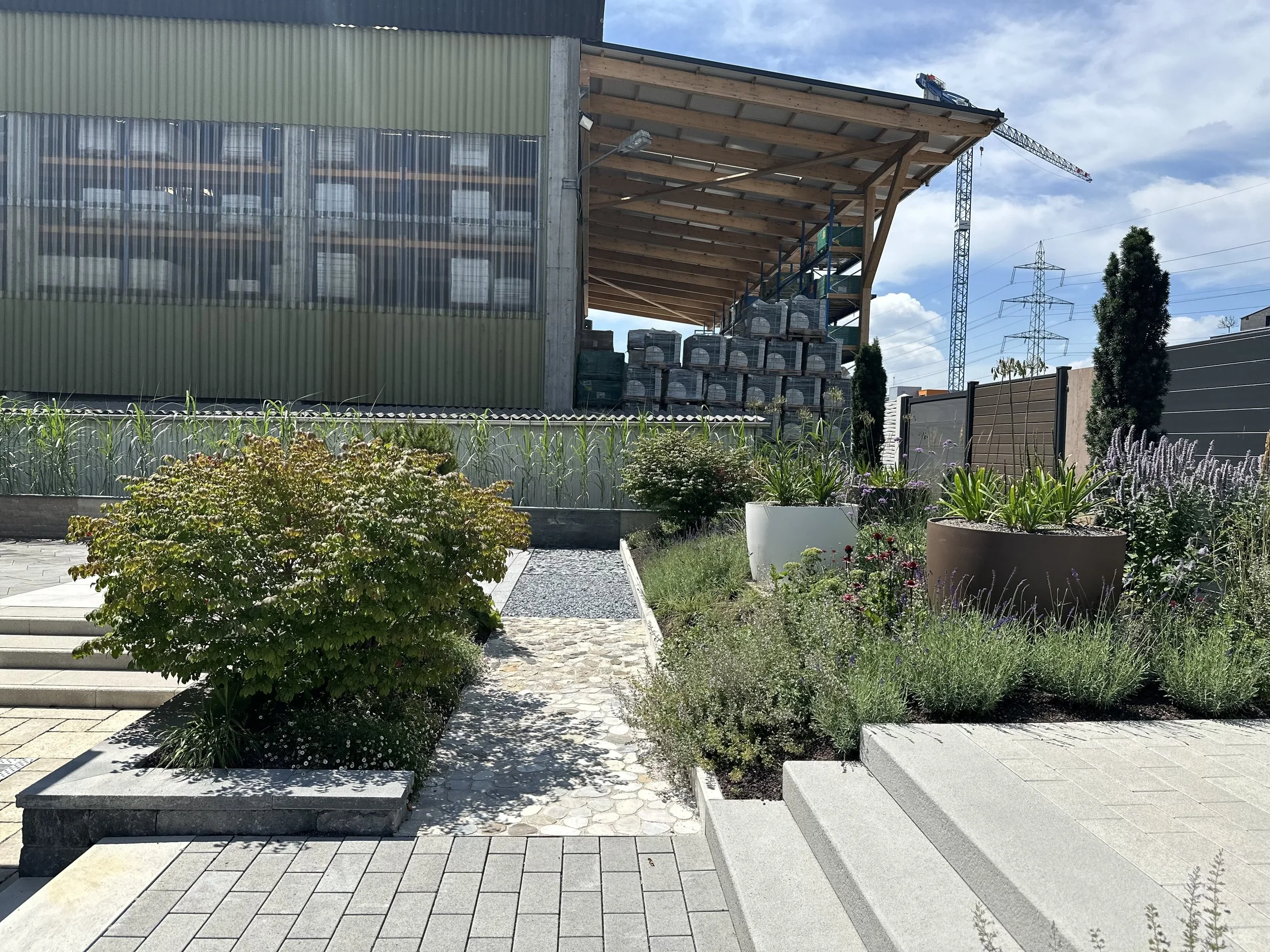 2024-08-09 13.13.06.jpg