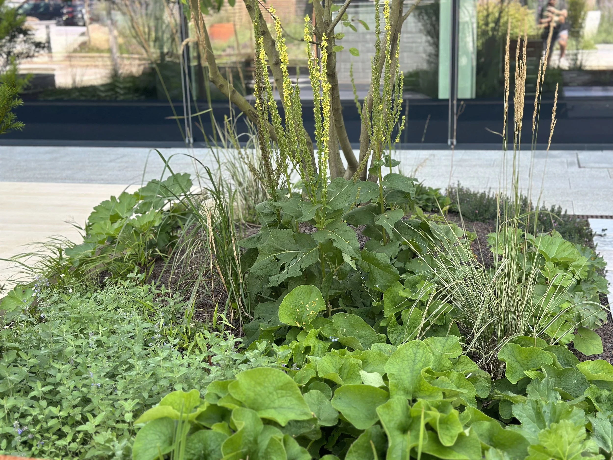 2024-08-09 13.12.19.jpg