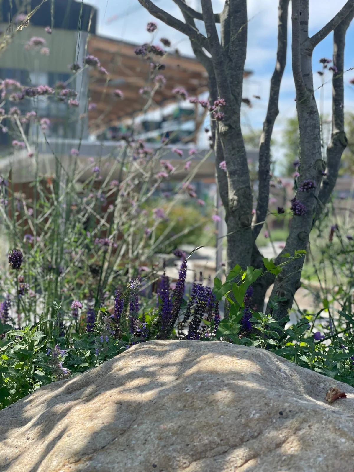 WhatsApp Image 2024-08-09 at 14.03.21 (3).jpeg