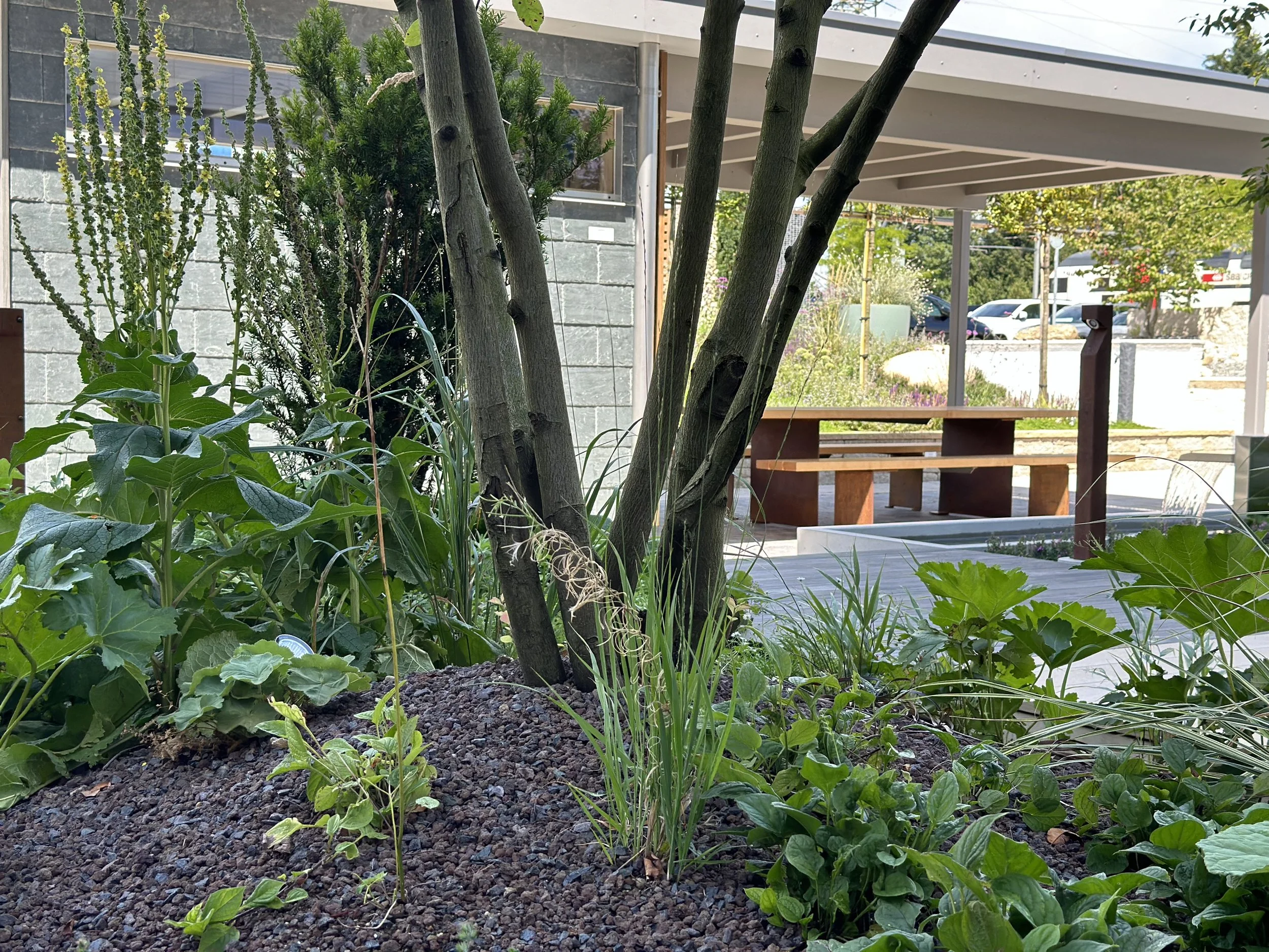 2024-08-09 13.09.44.jpg