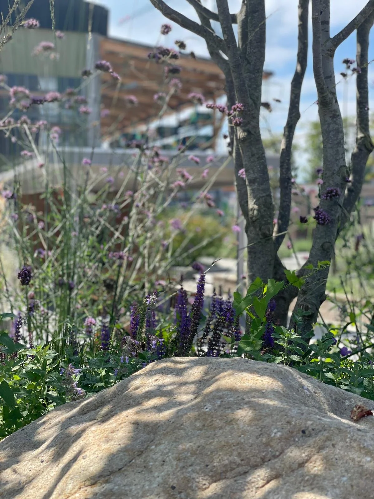 WhatsApp Image 2024-08-09 at 14.03.21 (4).jpeg